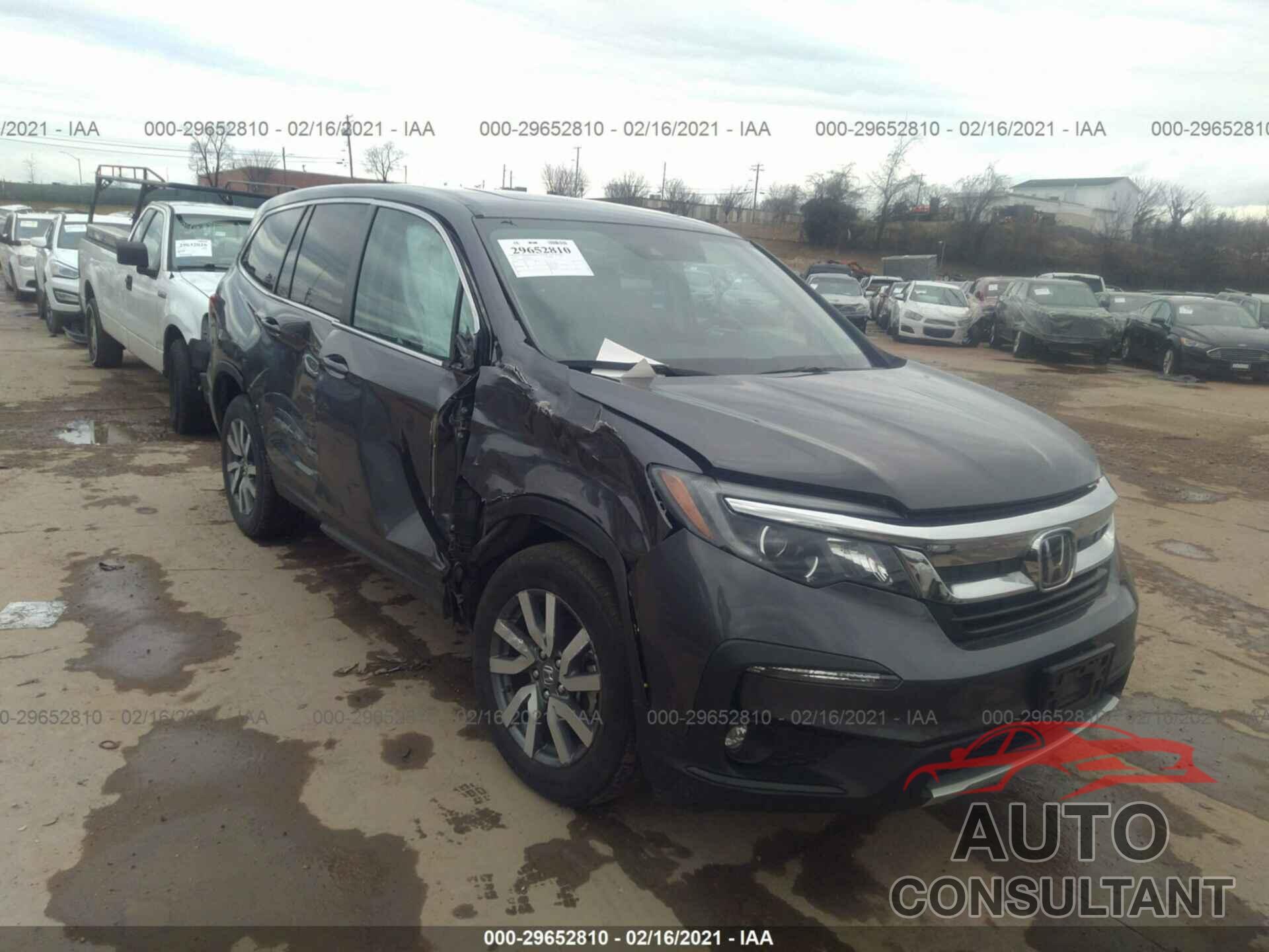 HONDA PILOT 2019 - 5FNYF6H51KB073175