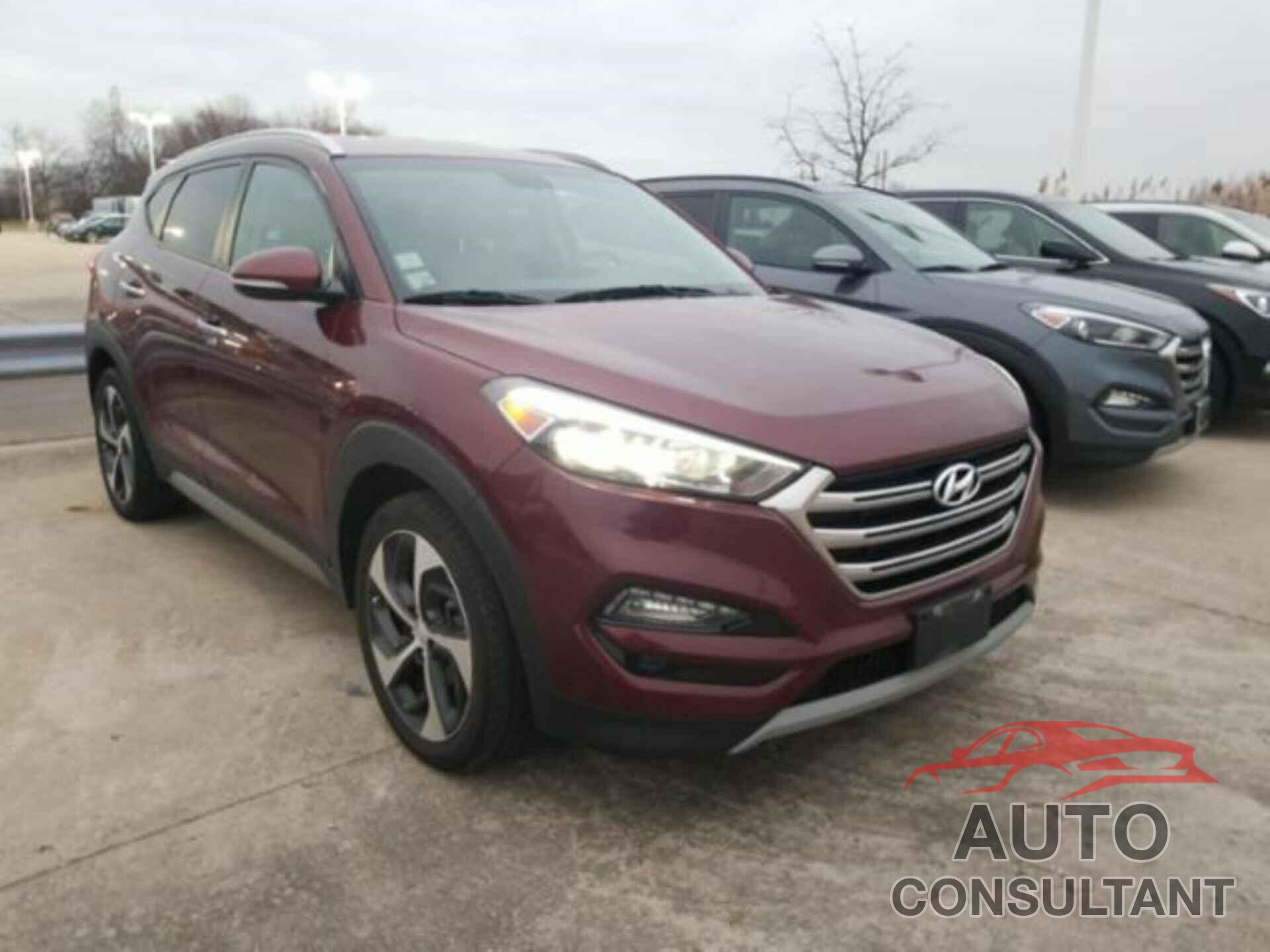 HYUNDAI TUCSON 2017 - KM8J33A25HU357302