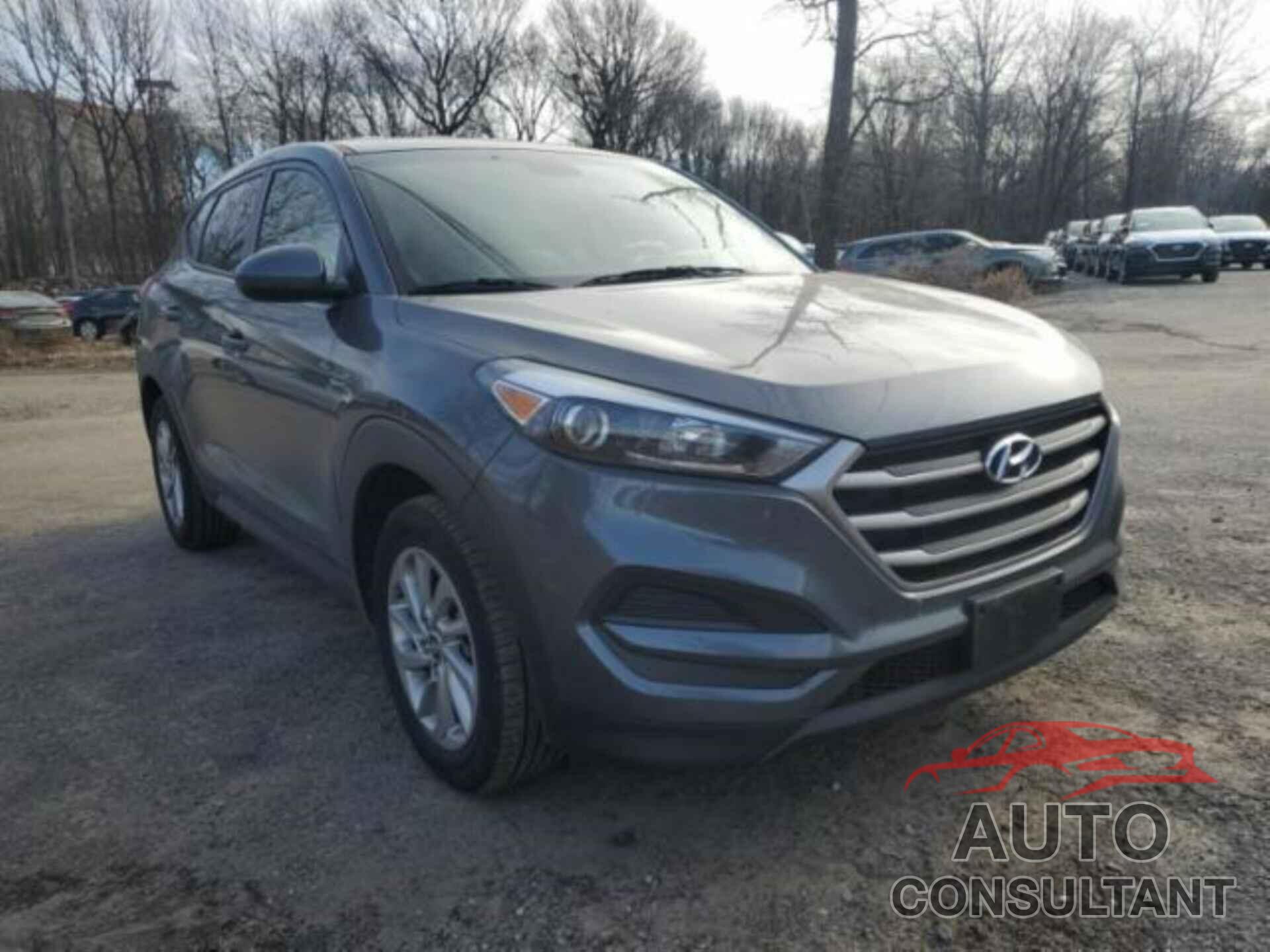 HYUNDAI TUCSON 2018 - KM8J2CA44JU635410