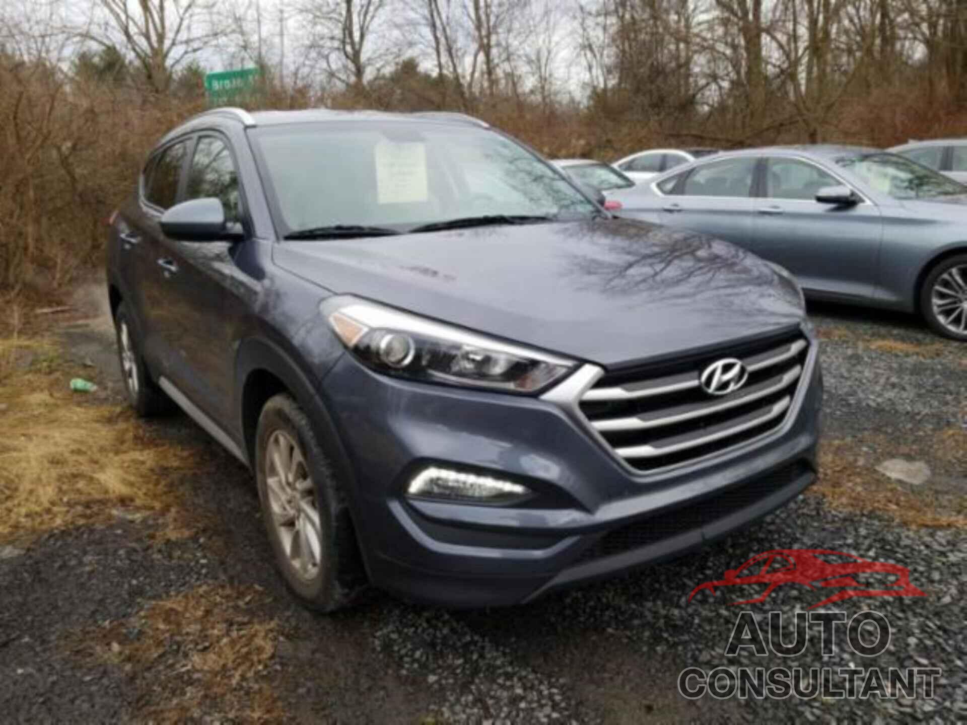 HYUNDAI TUCSON 2017 - KM8J3CA45HU531578