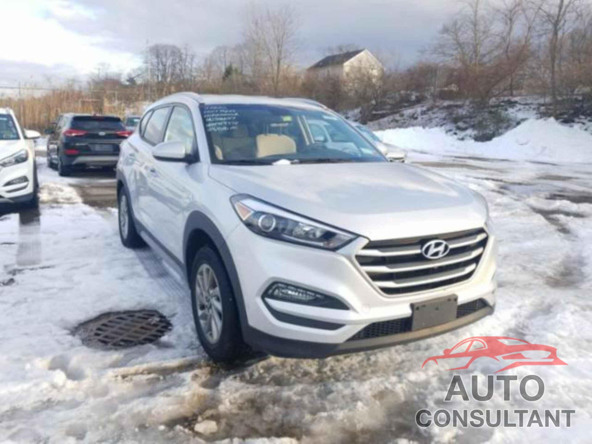 HYUNDAI TUCSON 2017 - KM8J3CA46HU546607