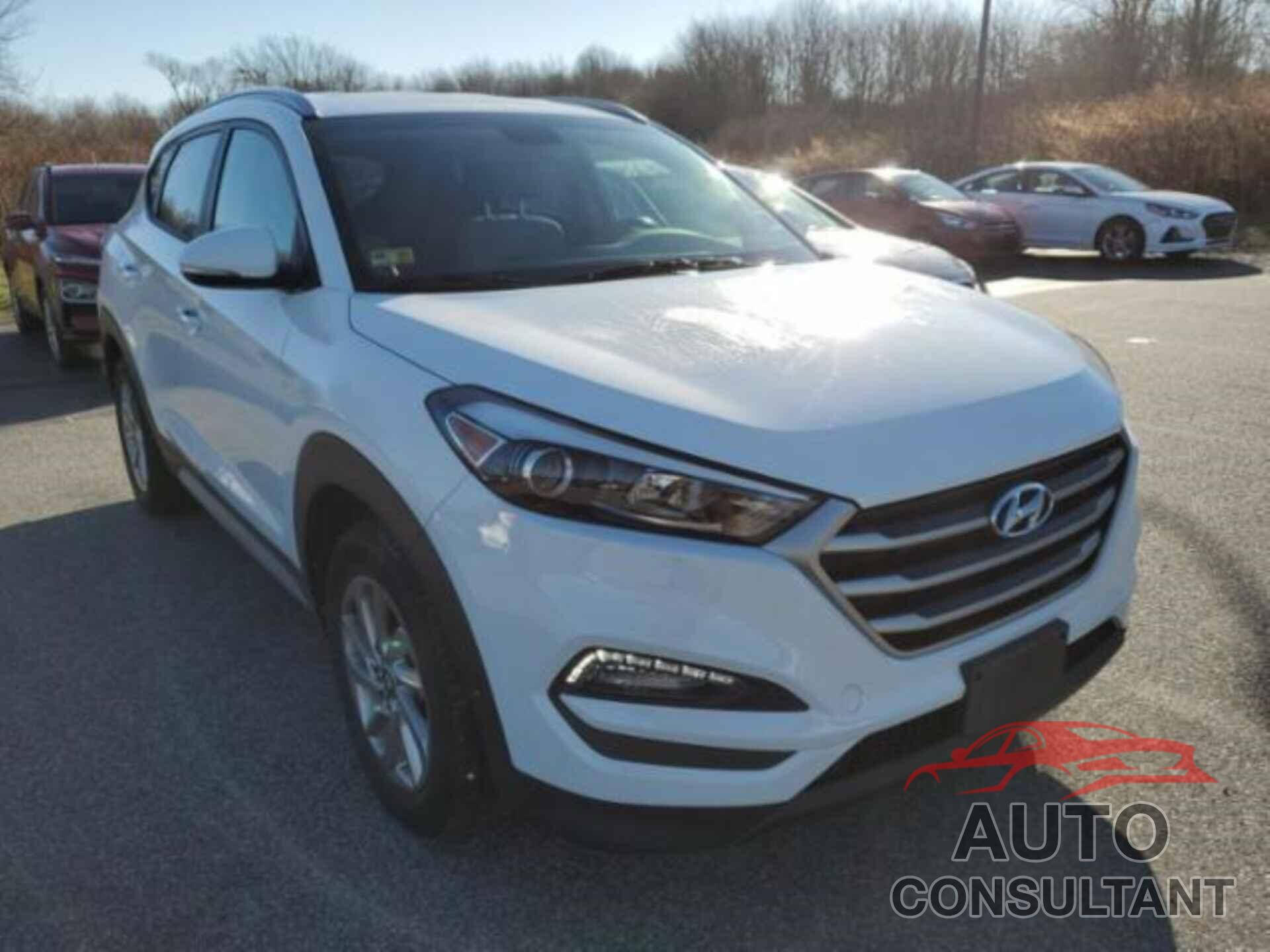 HYUNDAI TUCSON 2017 - KM8J3CA41HU404889