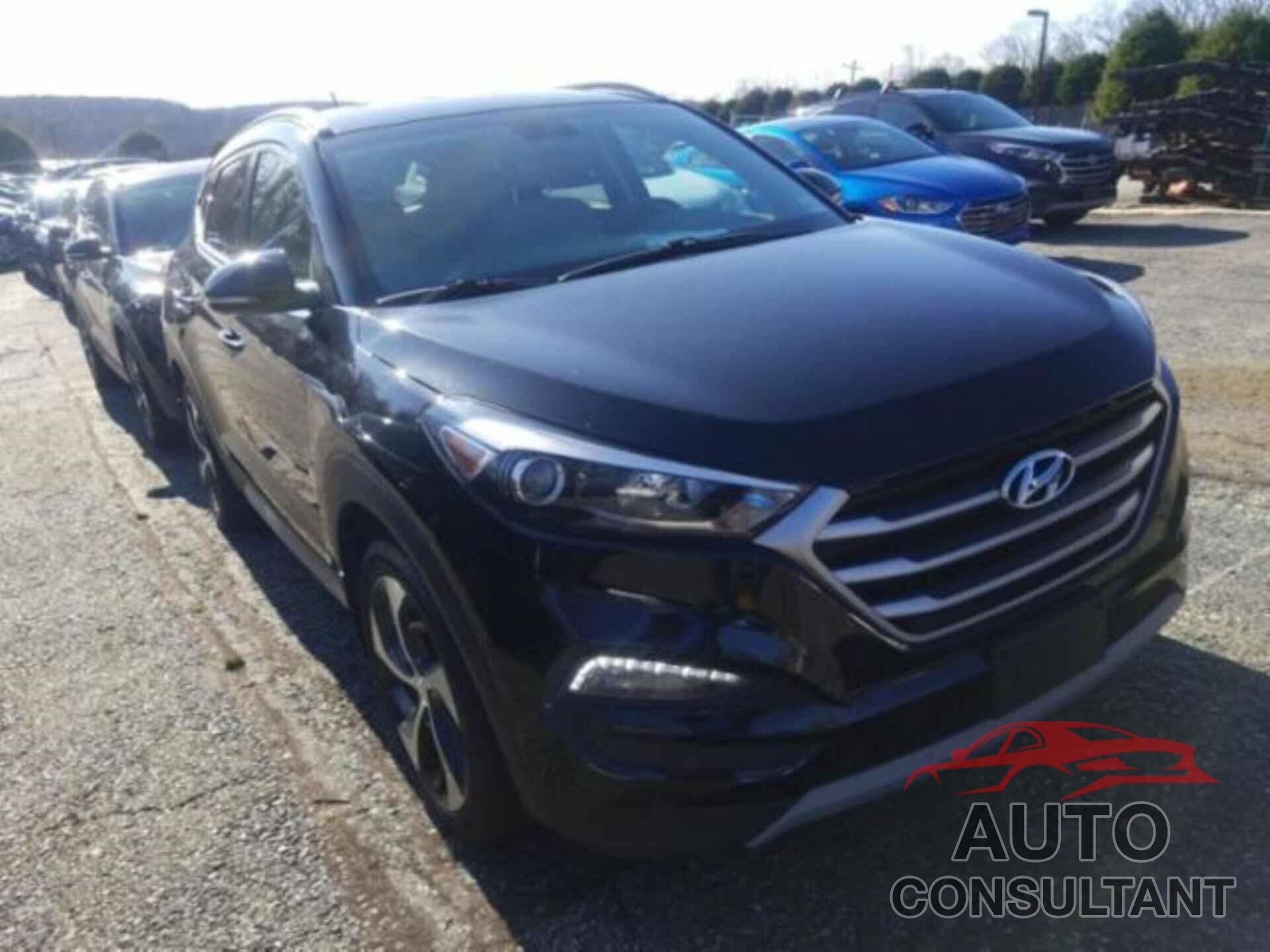 HYUNDAI TUCSON 2017 - KM8J3CA25HU406658