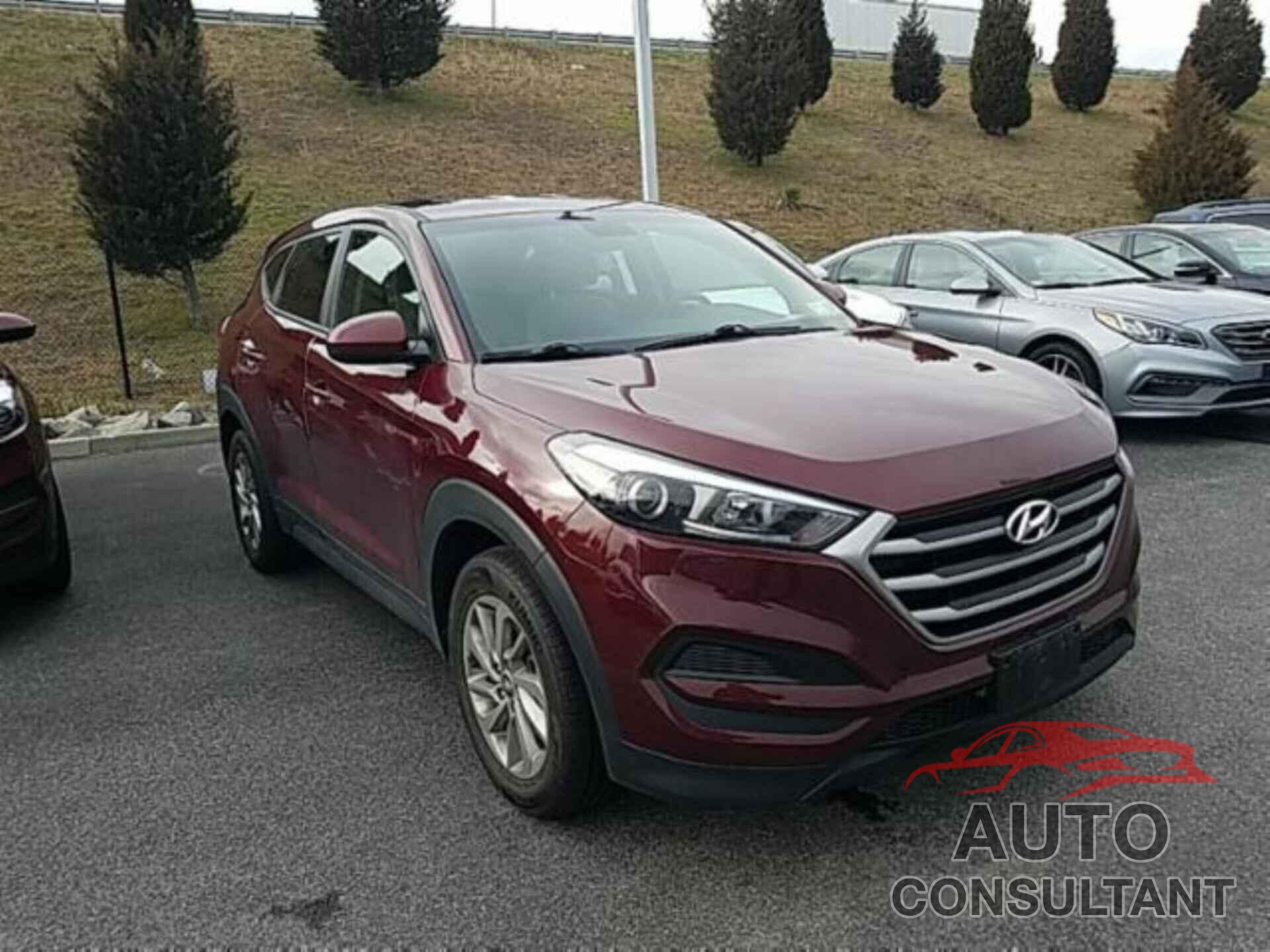 HYUNDAI TUCSON 2018 - KM8J2CA48JU611451