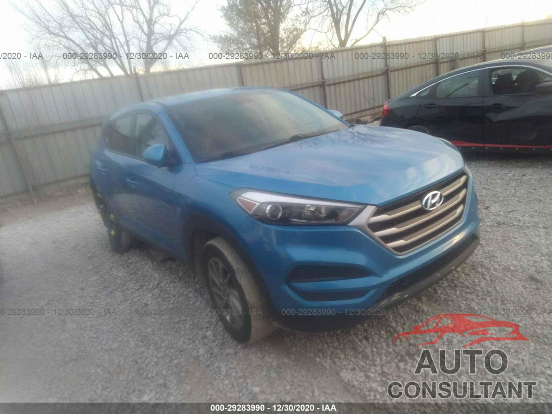HYUNDAI TUCSON 2017 - KM8J23A47HU399152