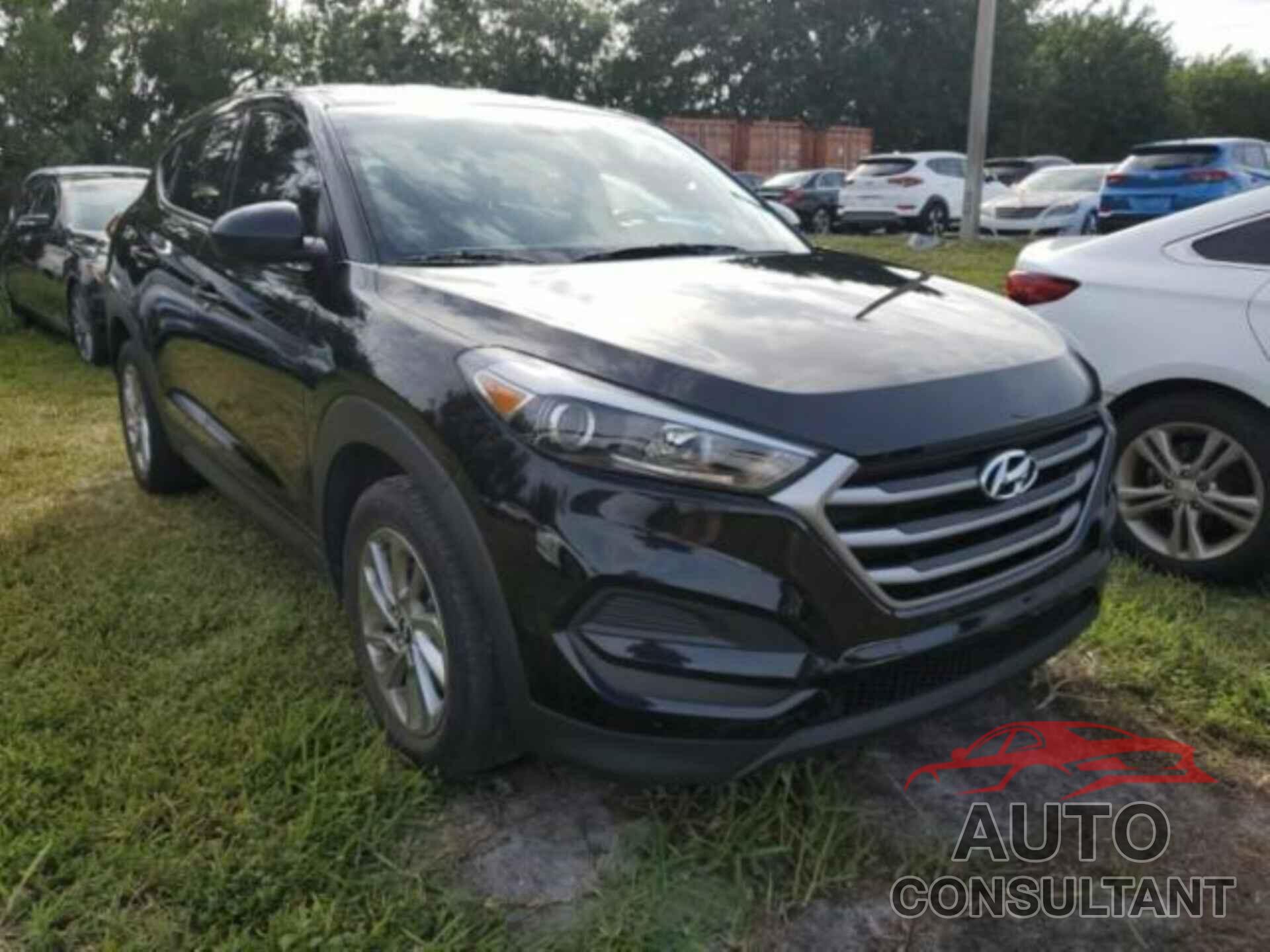 HYUNDAI TUCSON 2018 - KM8J23A43JU695341