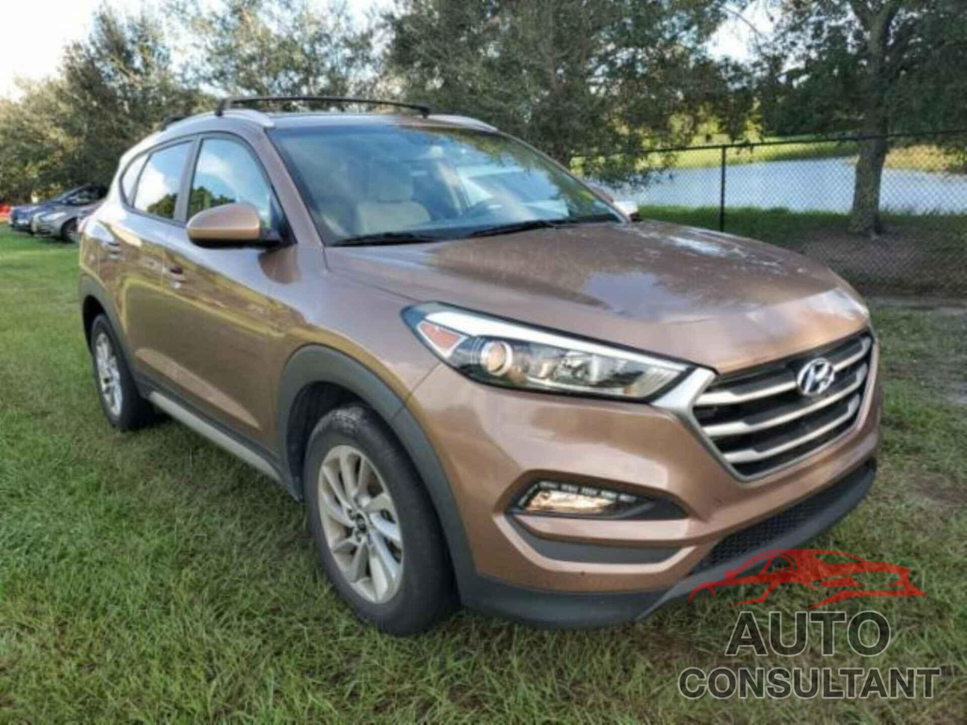 HYUNDAI TUCSON 2017 - KM8J33A41HU313170