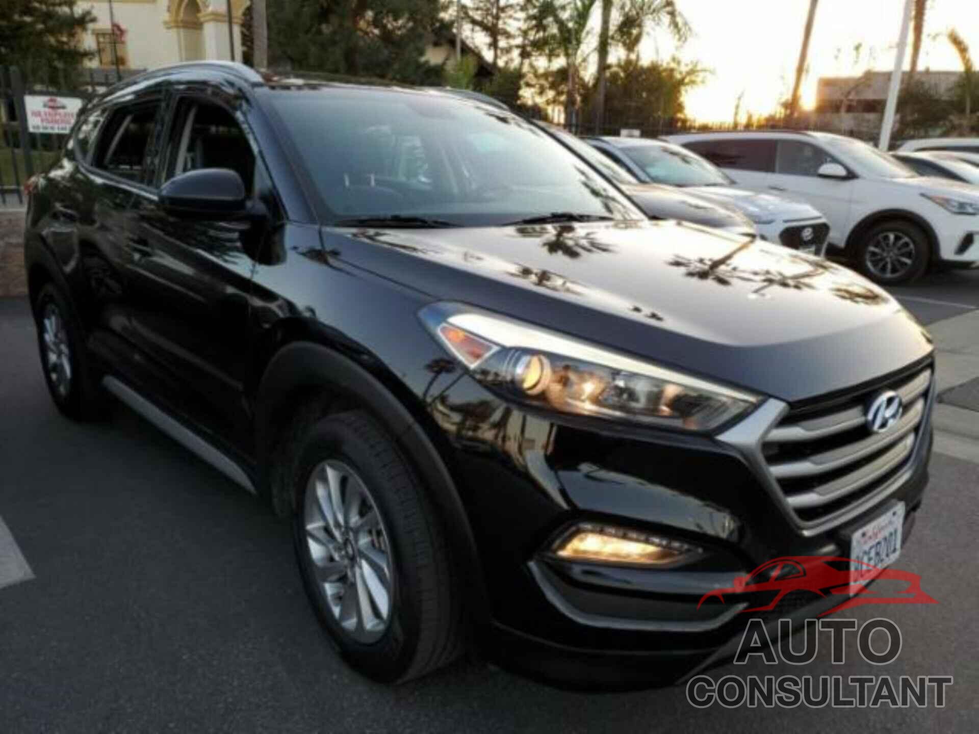 HYUNDAI TUCSON 2017 - KM8J33A41HU584469
