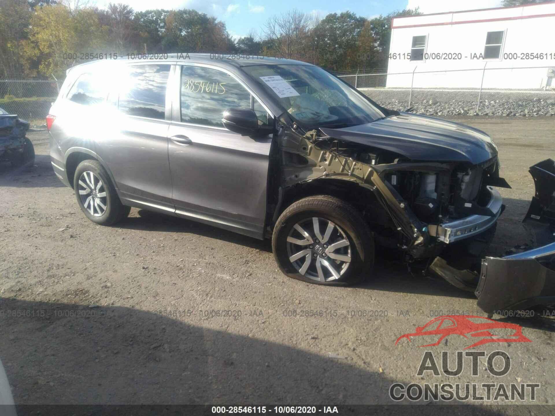 HONDA PILOT 2019 - 5FNYF6H59KB053465