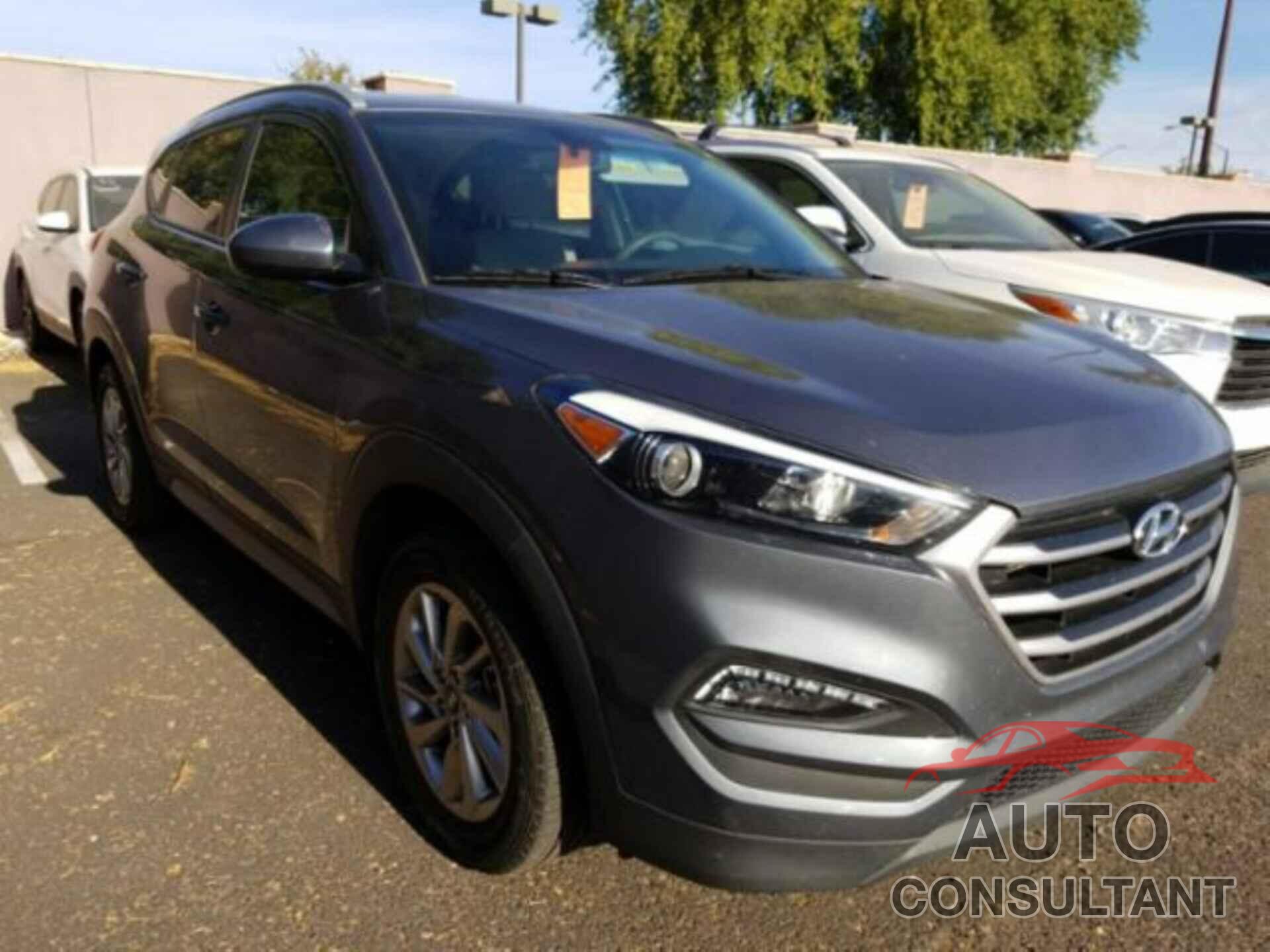 HYUNDAI TUCSON 2017 - KM8J33A41HU487577