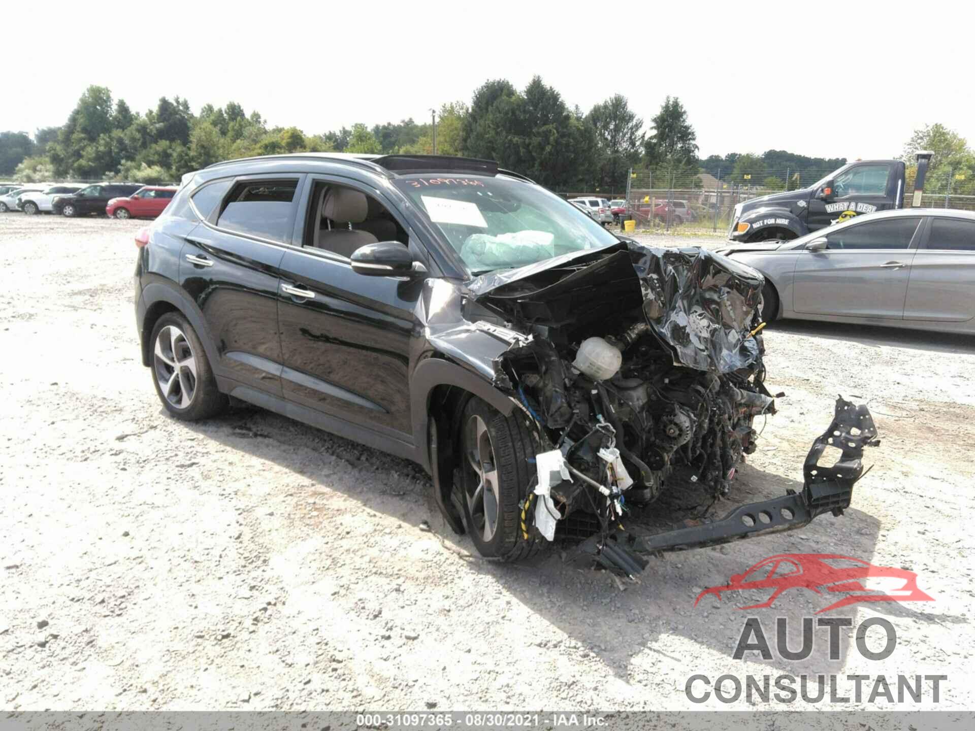 HYUNDAI TUCSON 2016 - KM8J3CA22GU049955