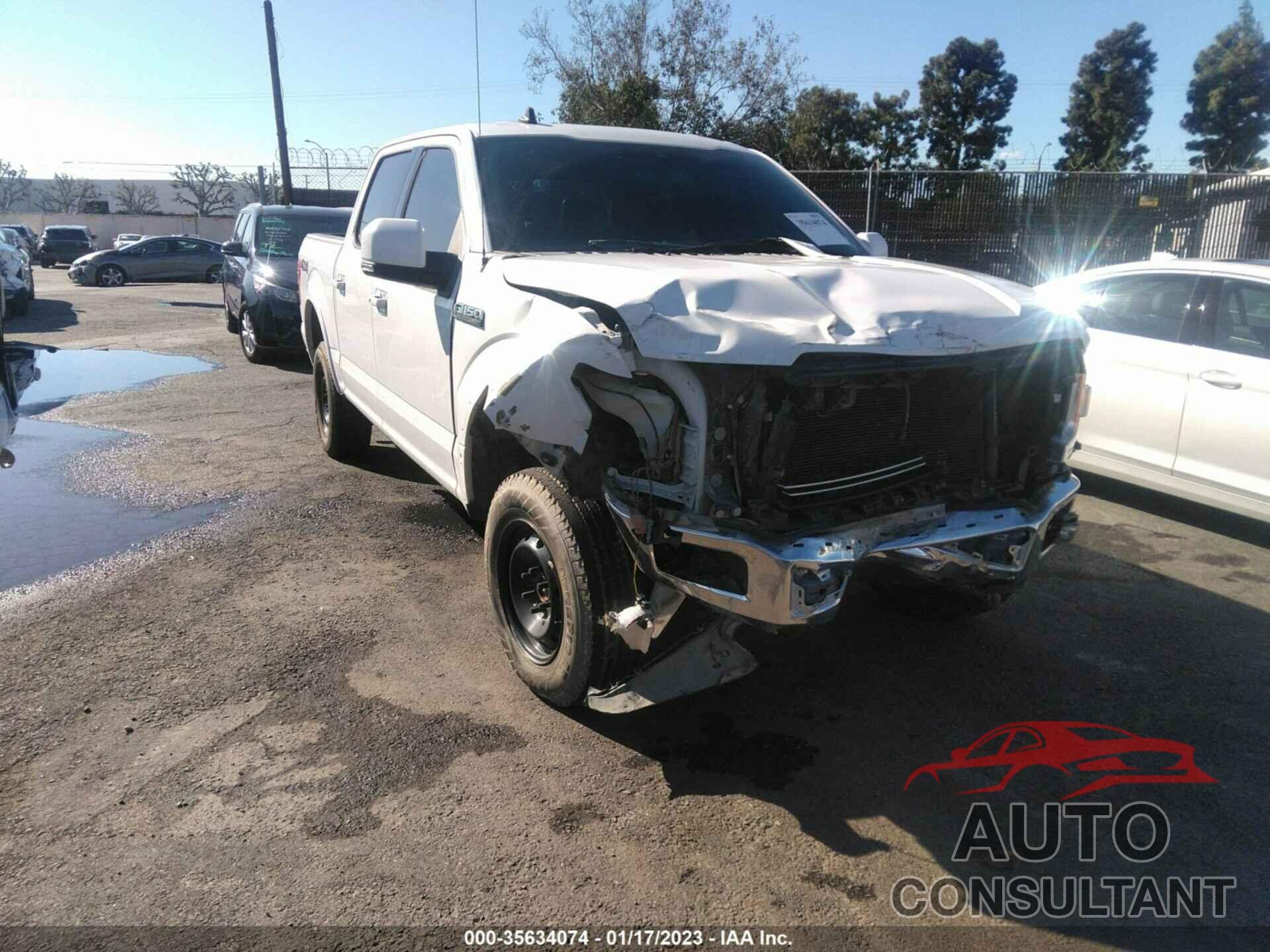 FORD F-150 2019 - 1FTEW1E50KKD49049