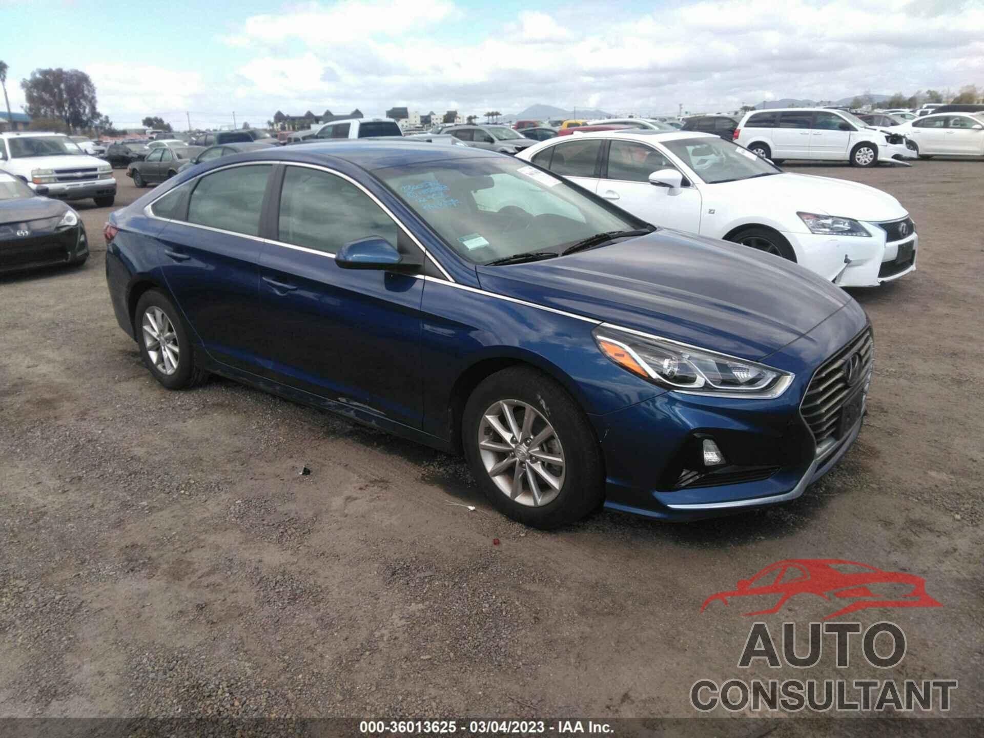 HYUNDAI SONATA 2019 - 5NPE24AF6KH766895