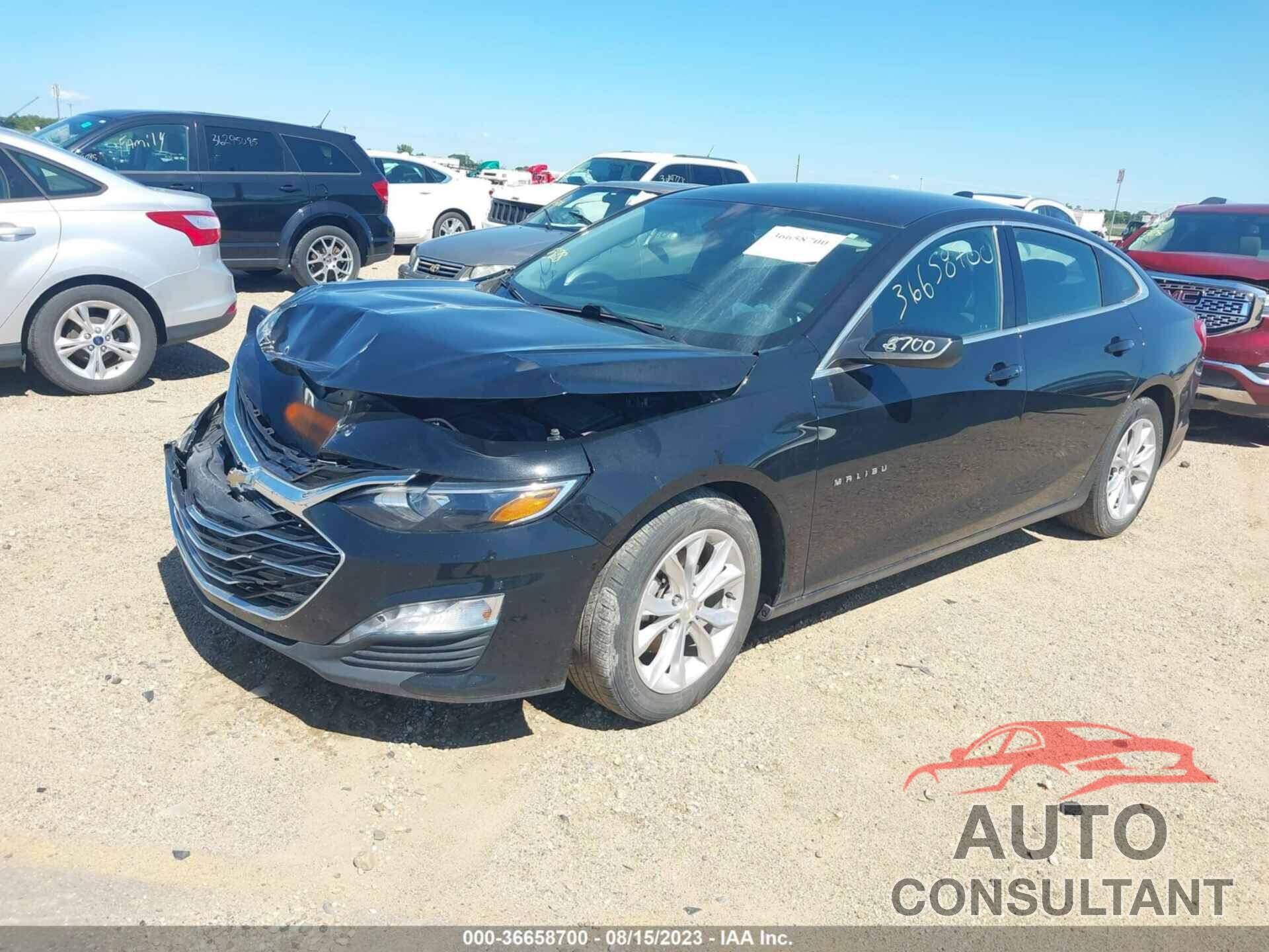 CHEVROLET MALIBU 2021 - 1G1ZD5ST7MF069148