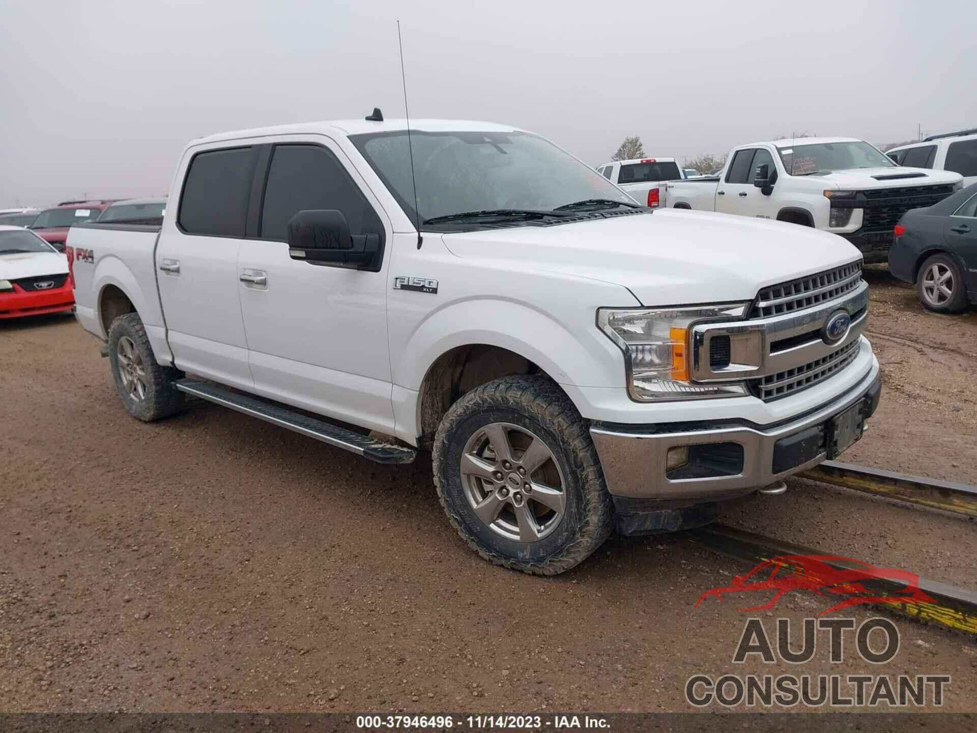 FORD F-150 2019 - 1FTEW1E54KKE61255