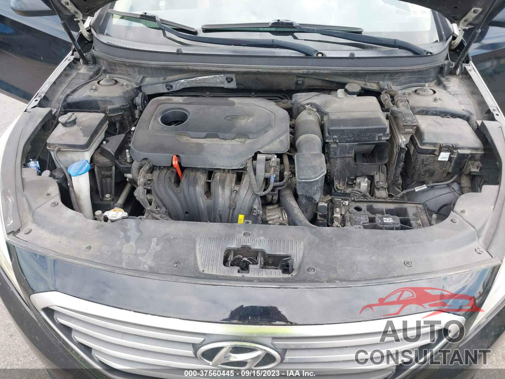 HYUNDAI SONATA 2017 - 5NPE24AF6HH499069