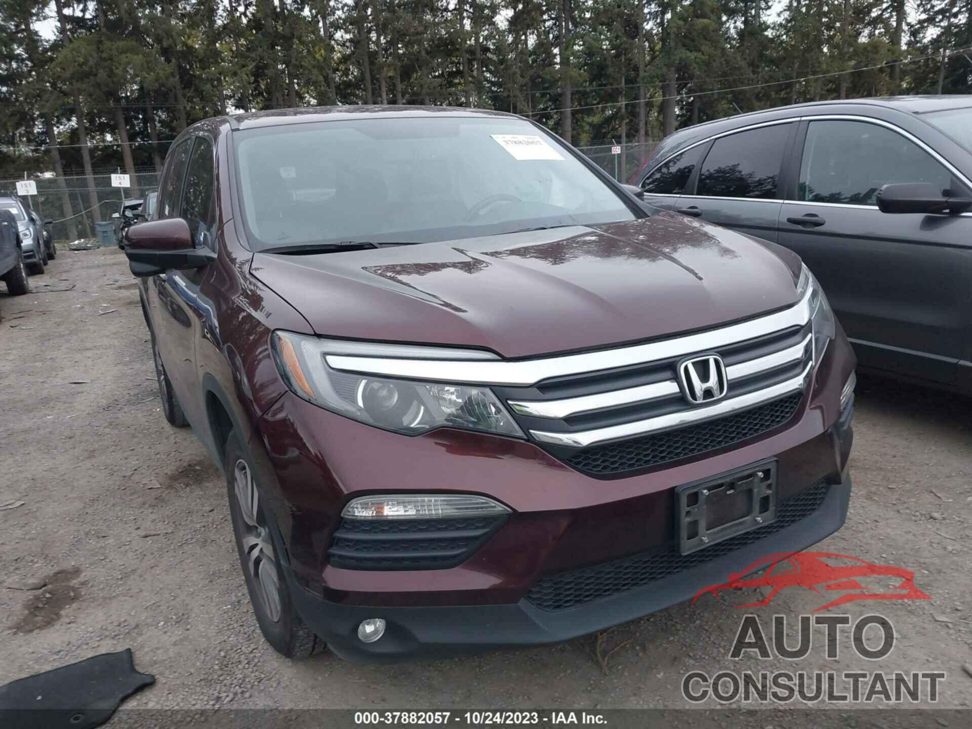 HONDA PILOT 2016 - 5FNYF6H54GB101266