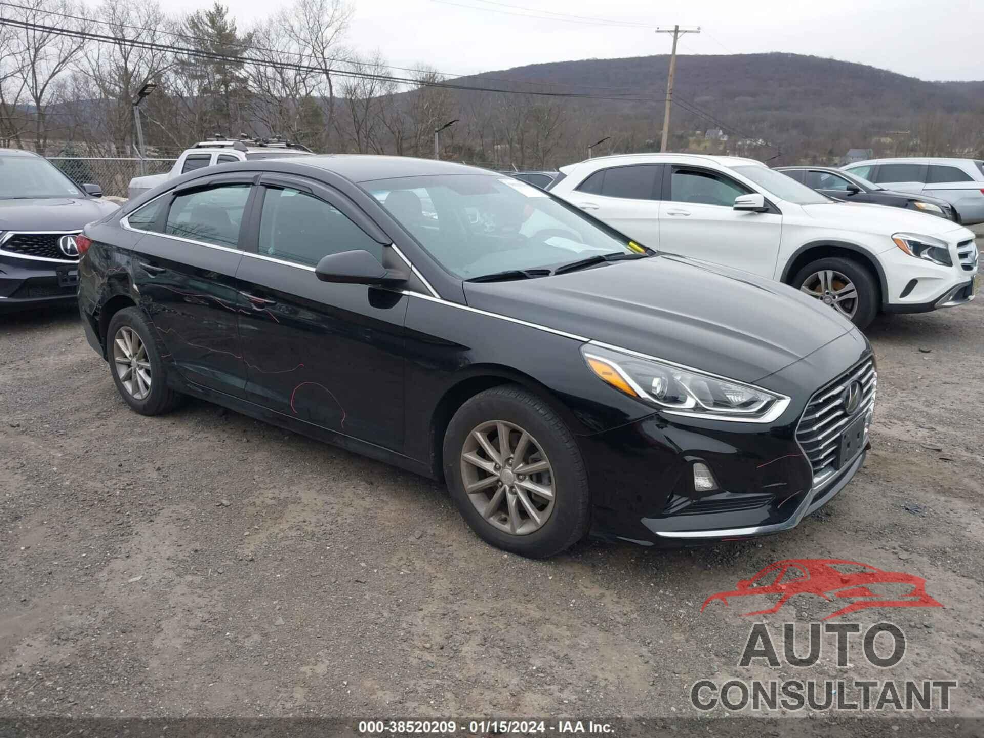 HYUNDAI SONATA 2019 - 5NPE24AF4KH749075