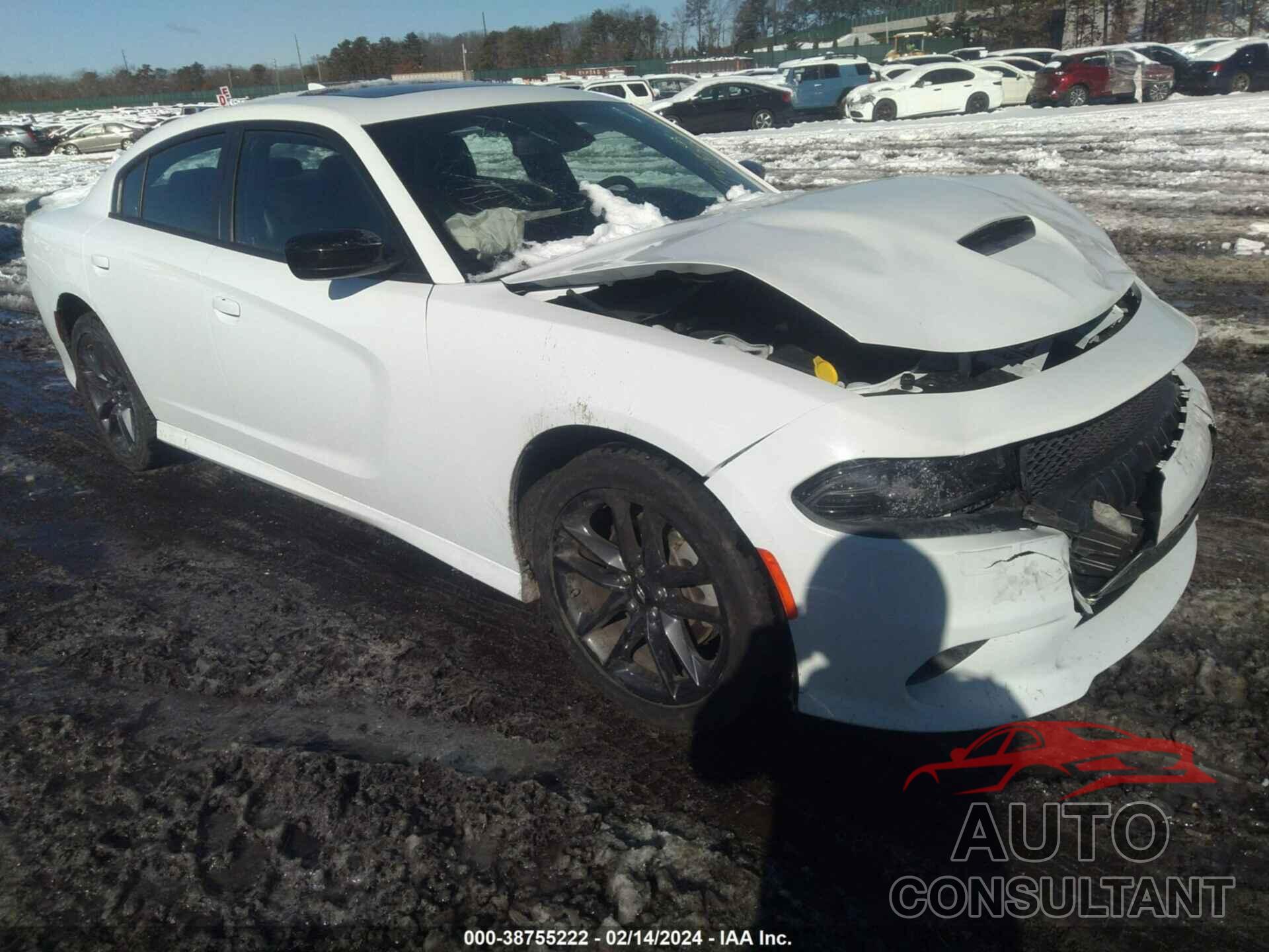 DODGE CHARGER 2022 - 2C3CDXMG8NH241202