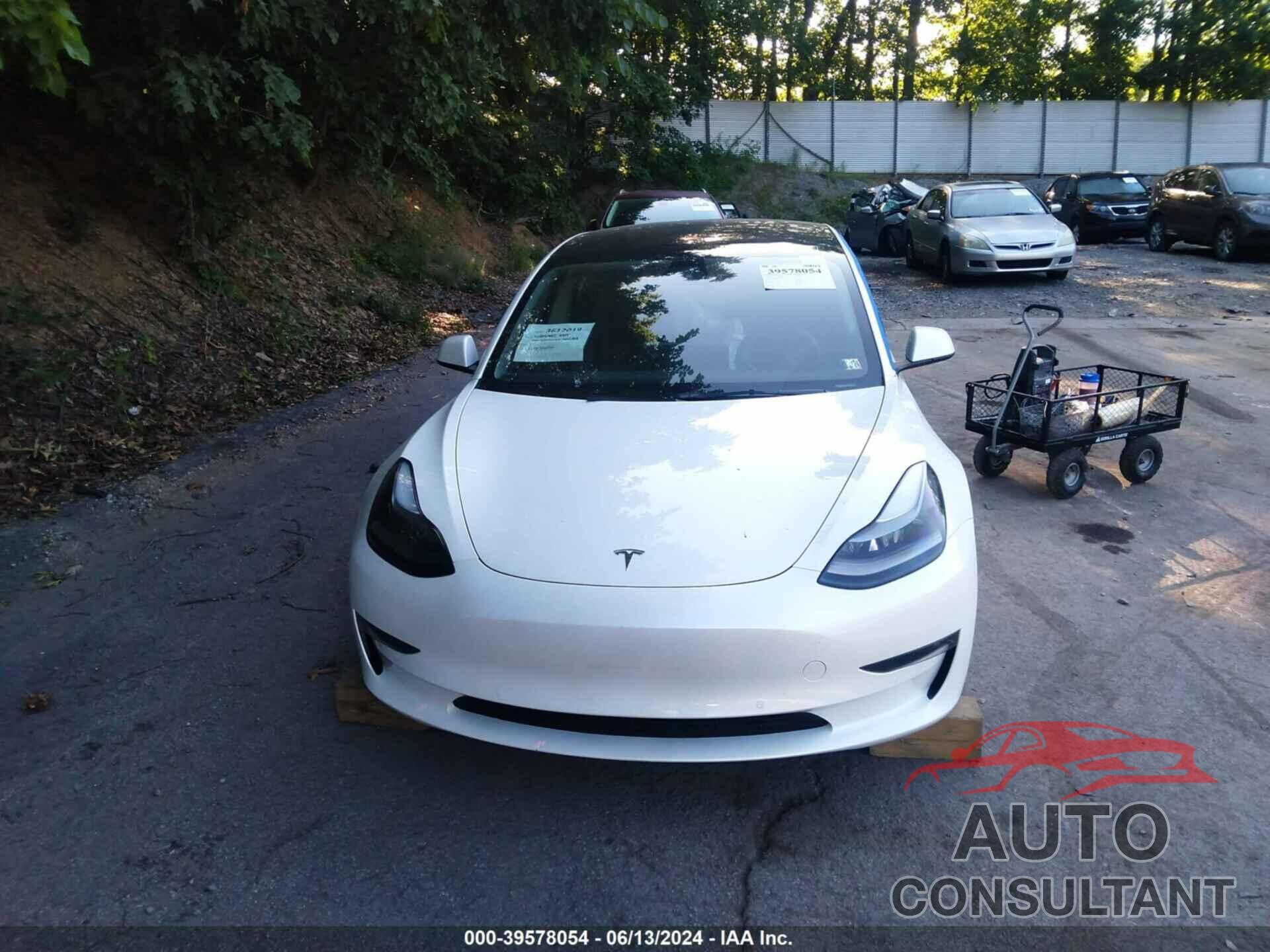TESLA MODEL 3 2022 - 5YJ3E1EB3NF332778