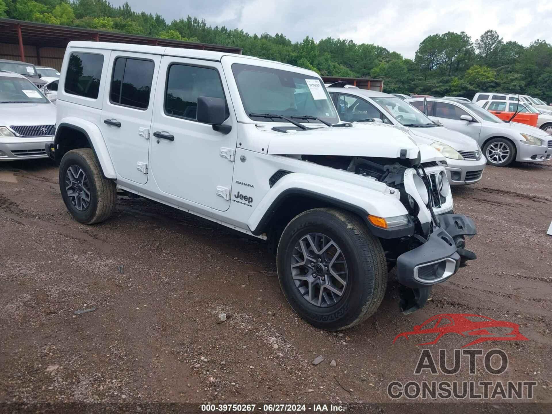 JEEP WRANGLER 2024 - 1C4PJXEN8RW173610