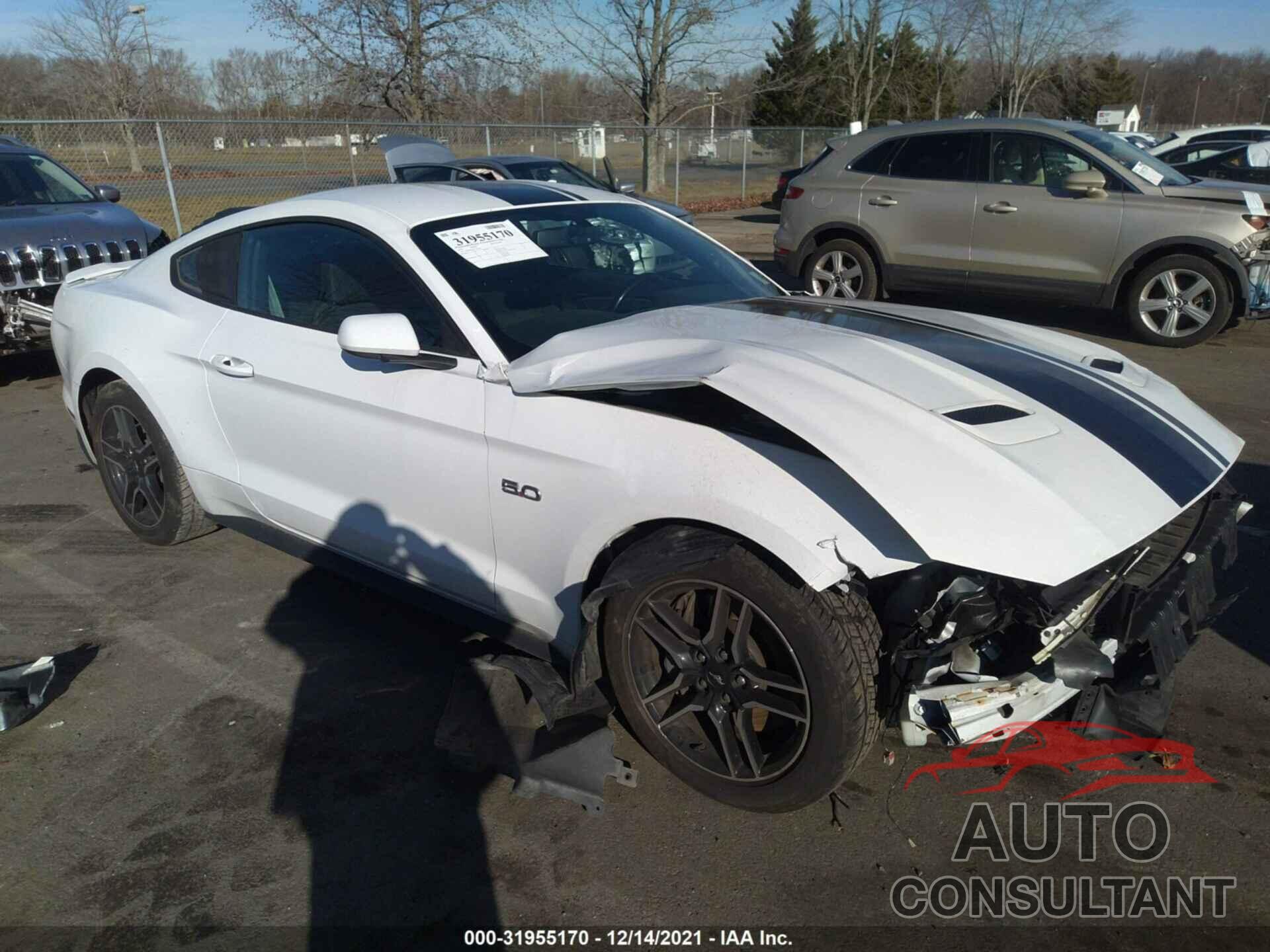 FORD MUSTANG 2019 - 1FA6P8CF9K5195242