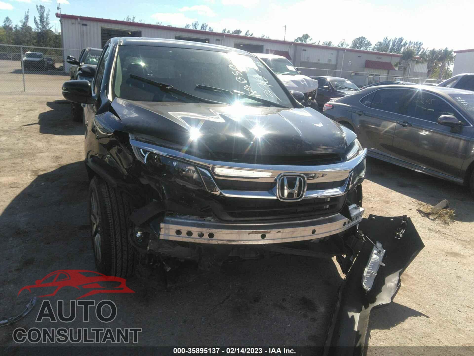 HONDA PILOT 2019 - 5FNYF5H52KB043967