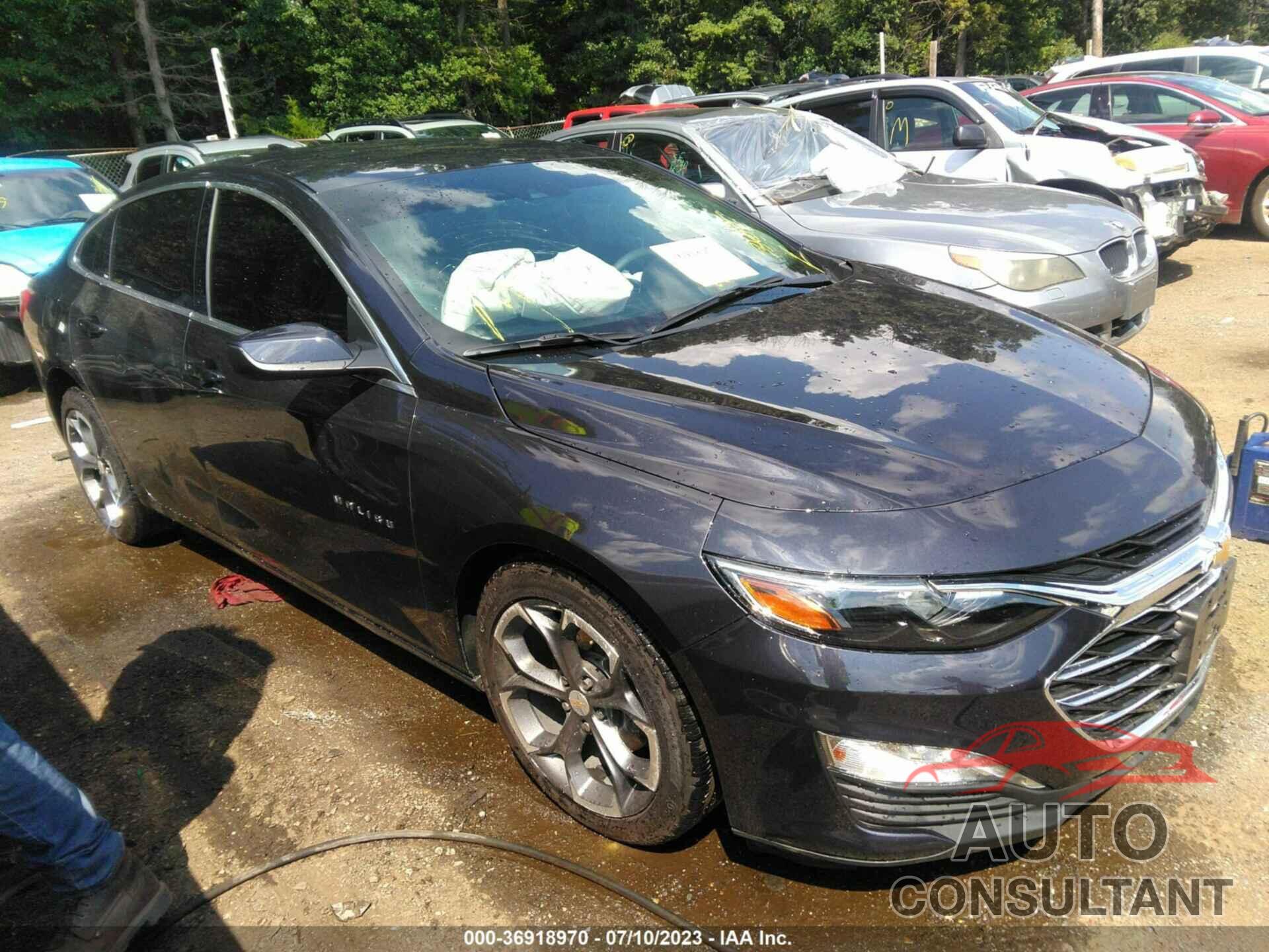 CHEVROLET MALIBU 2022 - 1G1ZD5ST0NF205430