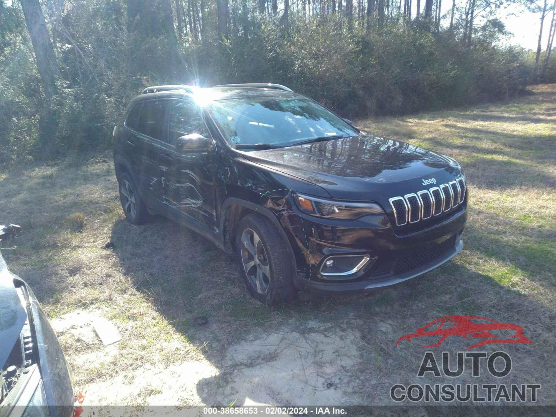 JEEP CHEROKEE 2019 - 1C4PJLDB7KD295876