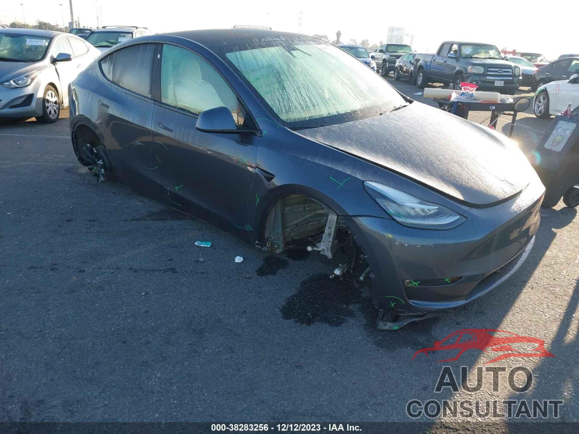 TESLA MODEL Y 2021 - 5YJYGAEE9MF216171