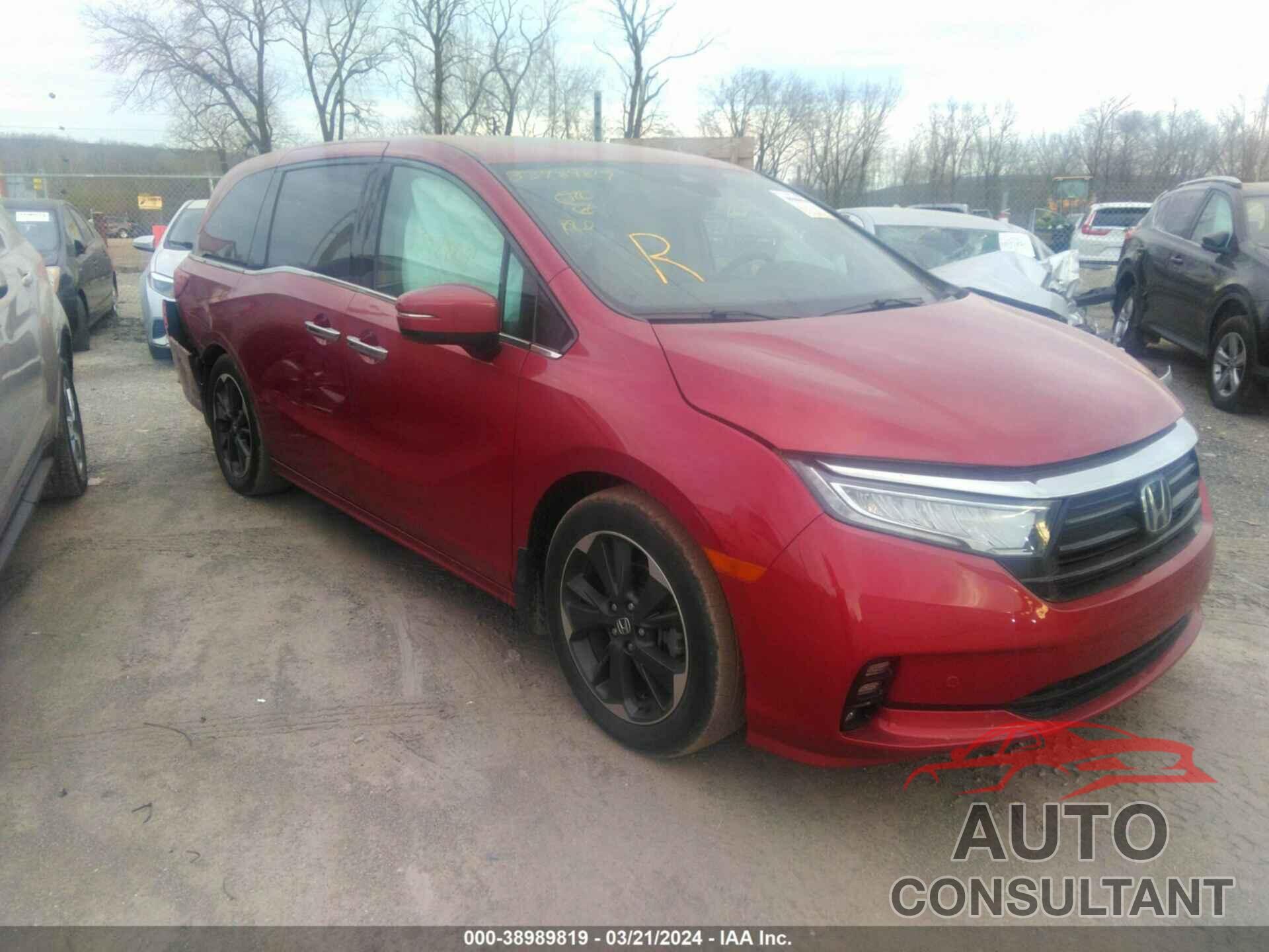 HONDA ODYSSEY 2022 - 5FNRL6H91NB017256