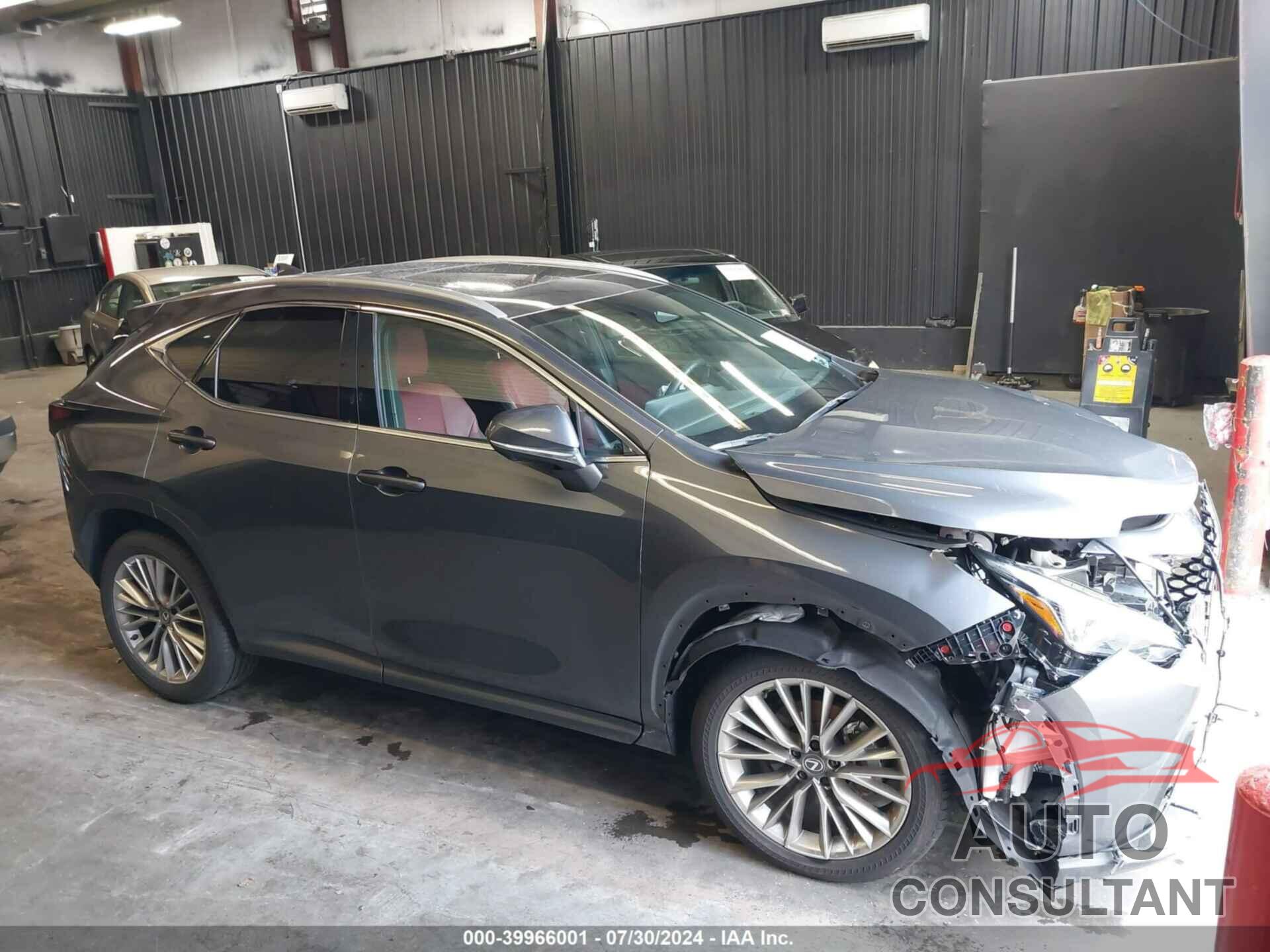 LEXUS NX 350 2024 - 2T2HGCEZ7RC055874