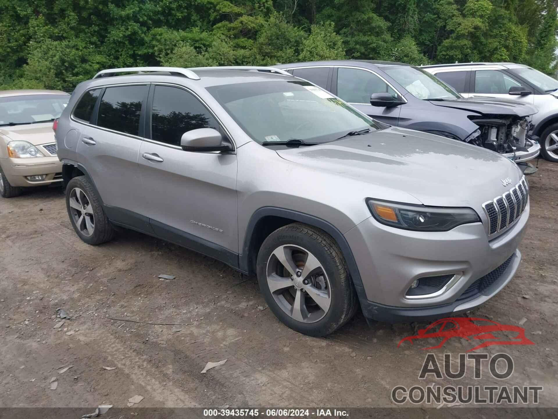 JEEP CHEROKEE 2019 - 1C4PJLDB1KD427756