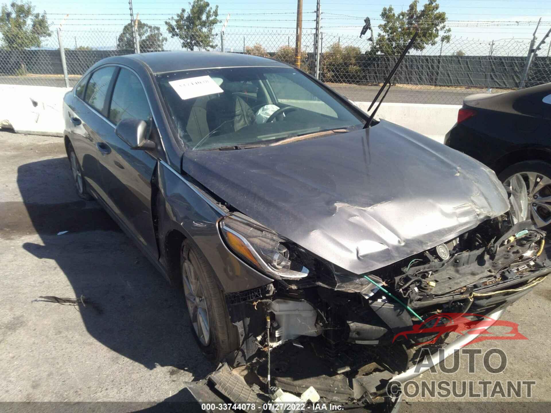 HYUNDAI SONATA 2019 - 5NPE24AF4KH791357
