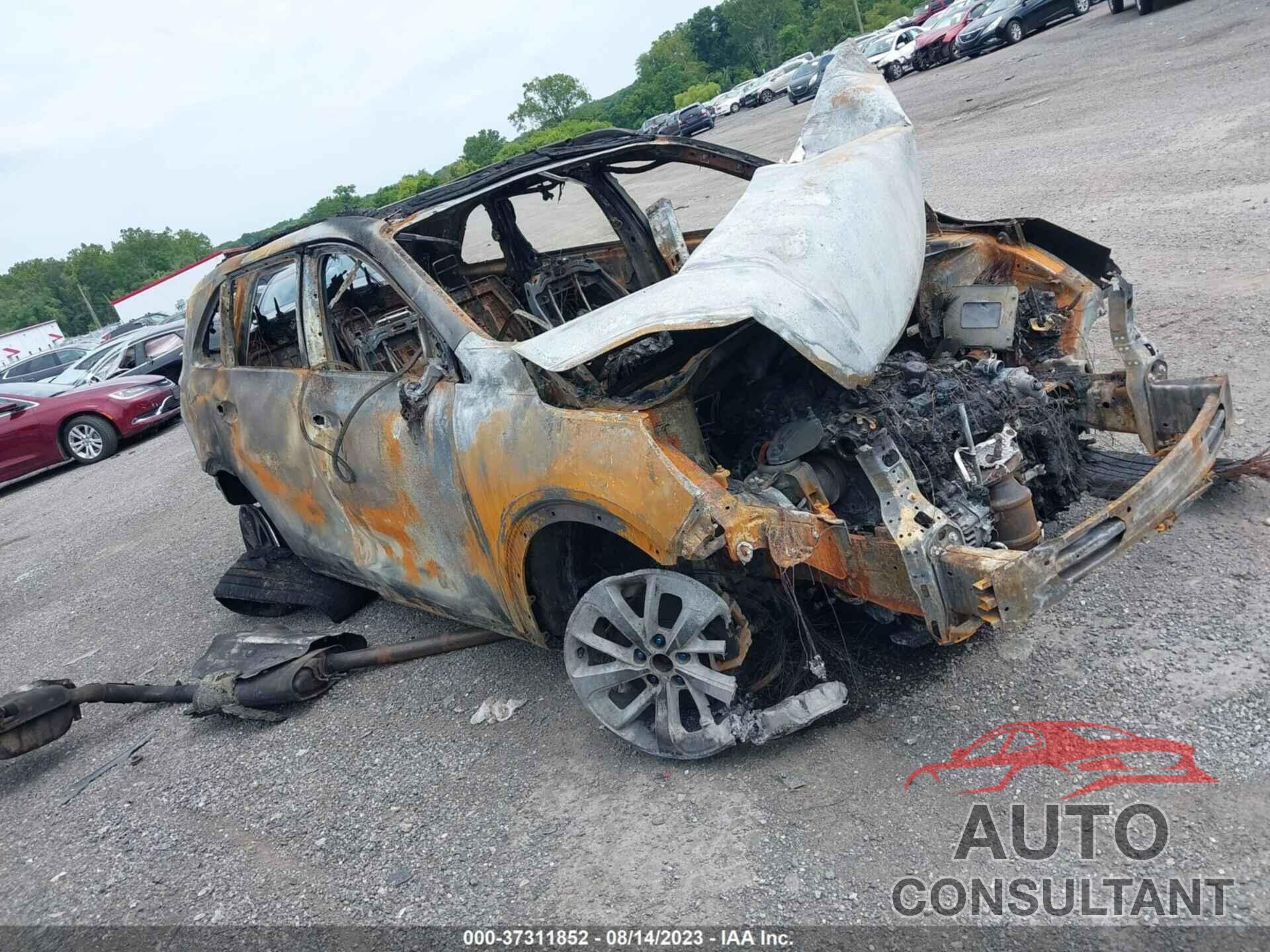 KIA SORENTO 2019 - 5XYPHDA51KG524781