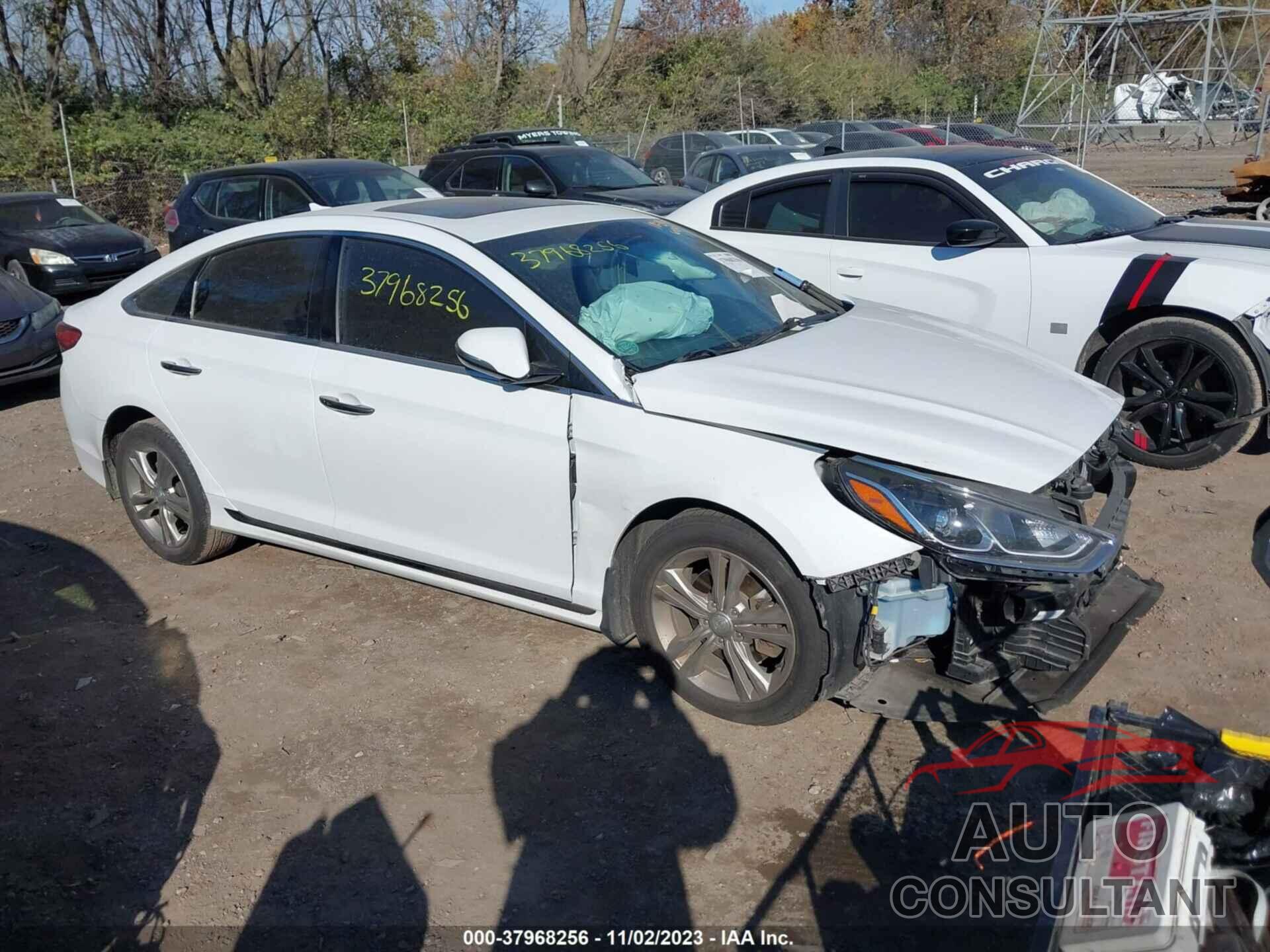 HYUNDAI SONATA 2019 - 5NPE34AF1KH811027