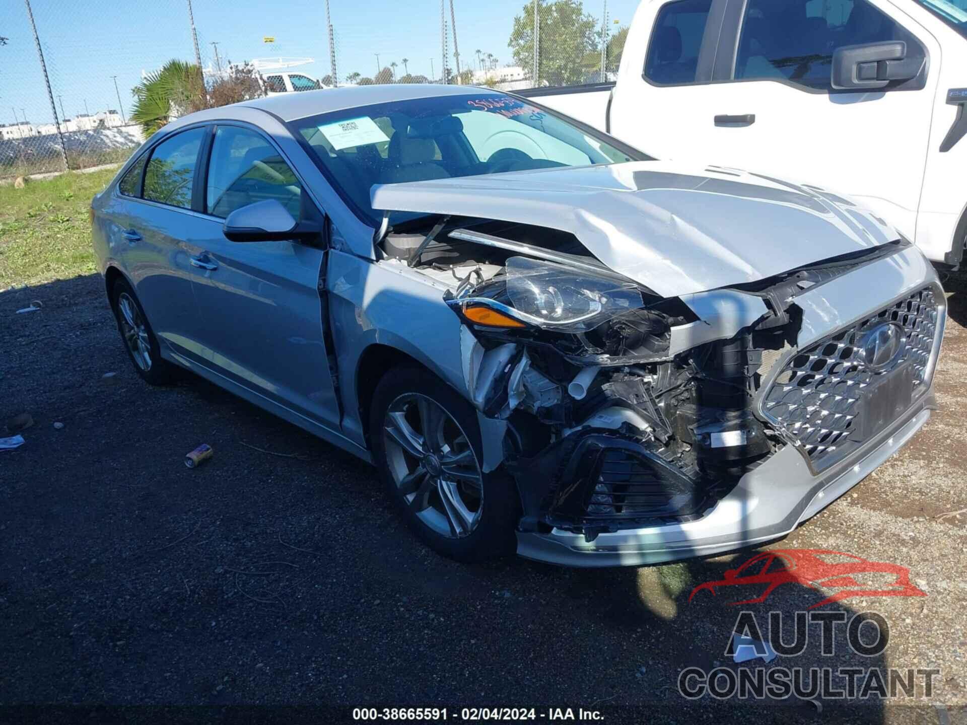 HYUNDAI SONATA 2019 - 5NPE34AF6KH782804