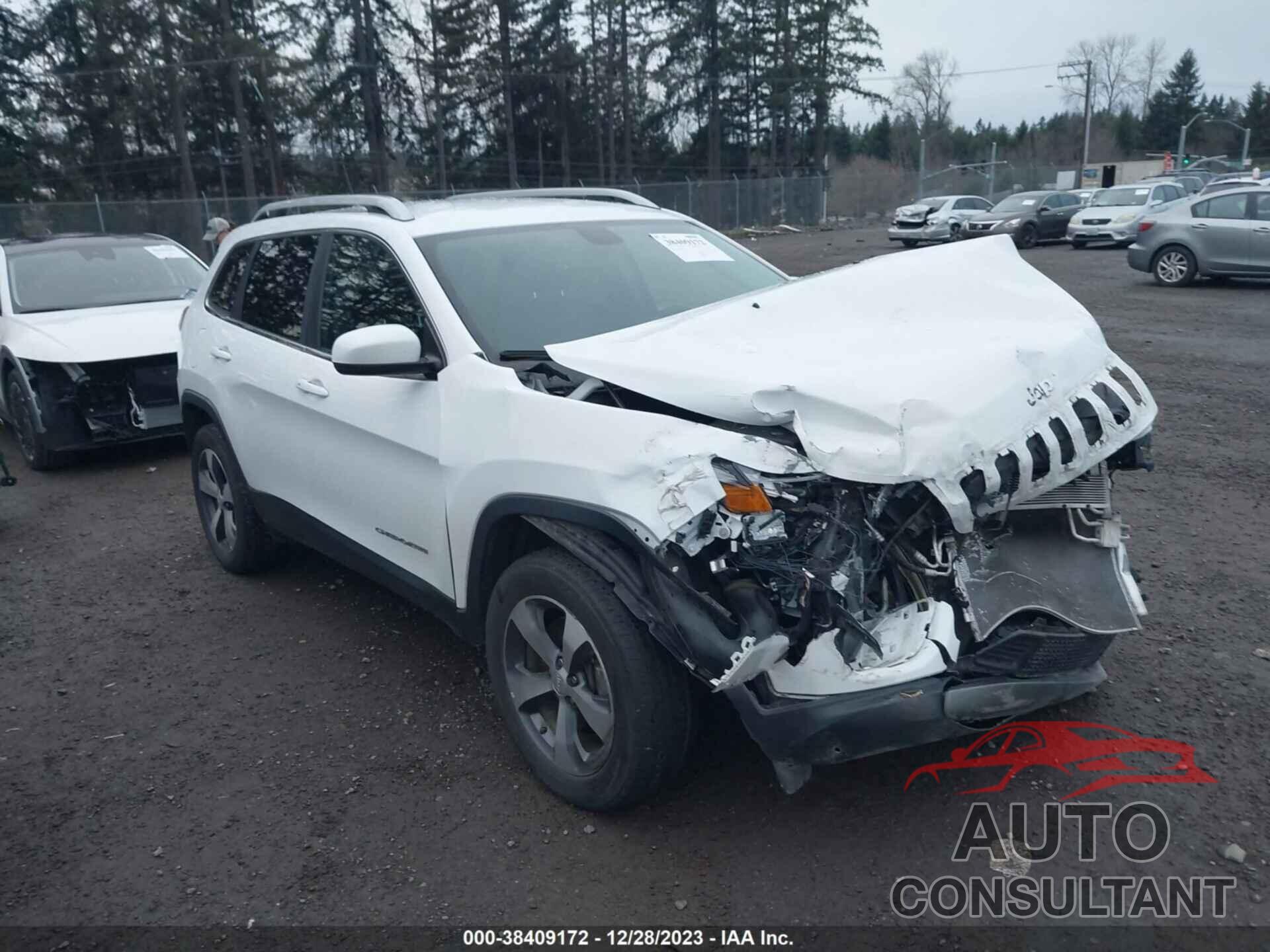 JEEP CHEROKEE 2020 - 1C4PJMDX1LD587588