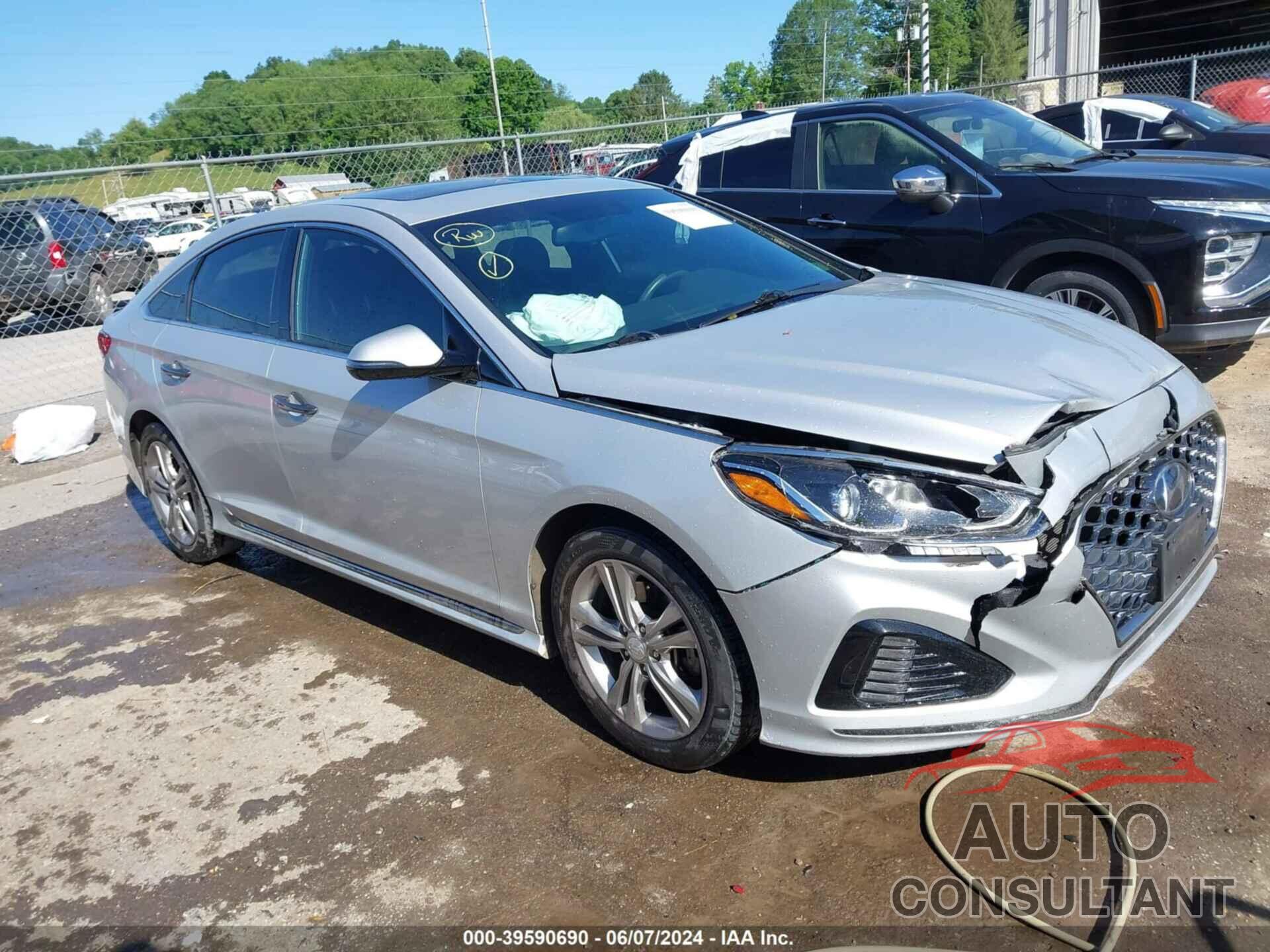 HYUNDAI SONATA 2019 - 5NPE34AF9KH806013