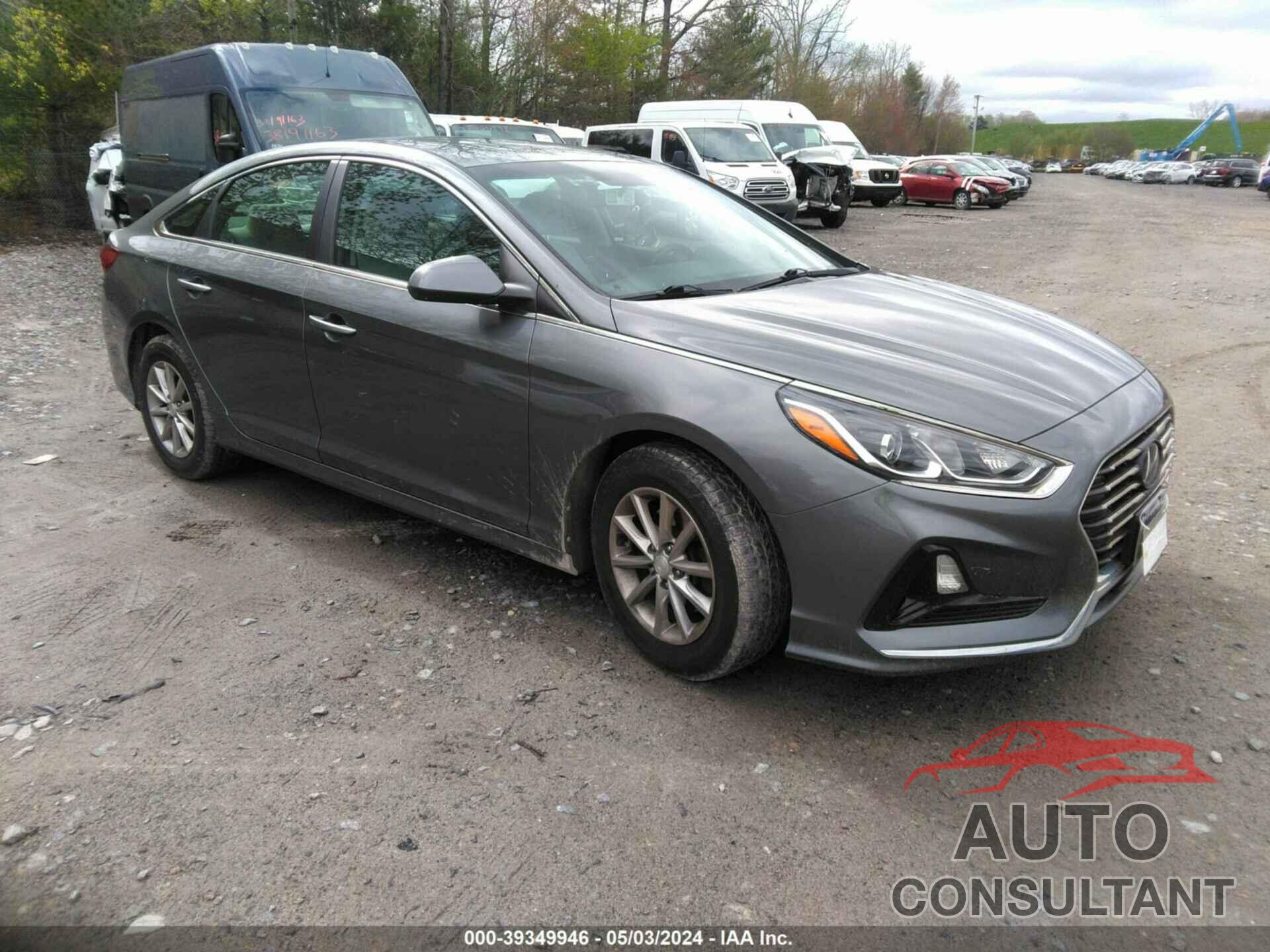 HYUNDAI SONATA 2019 - 5NPE24AF7KH790641