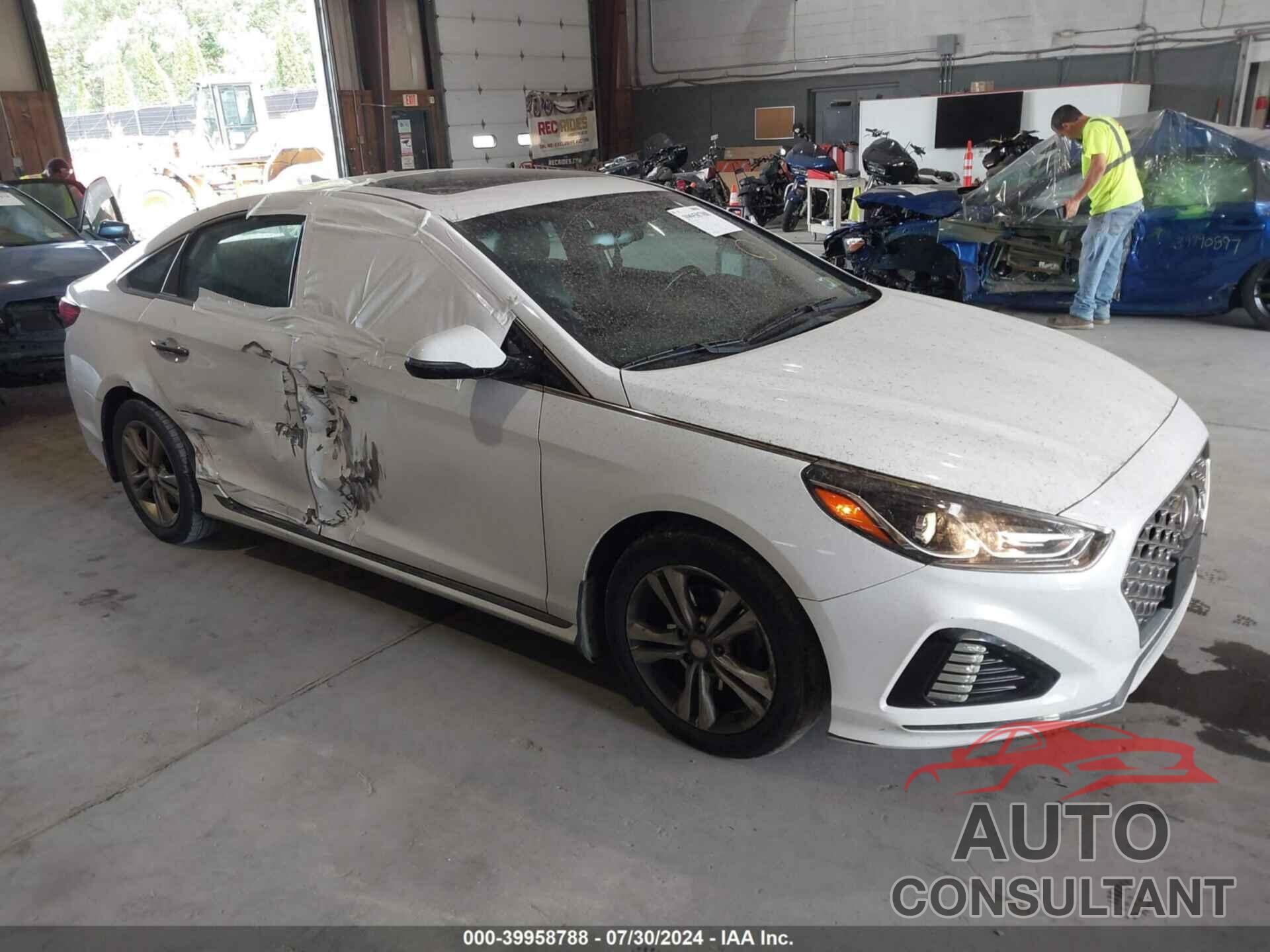 HYUNDAI SONATA 2019 - 5NPE34AF3KH811031