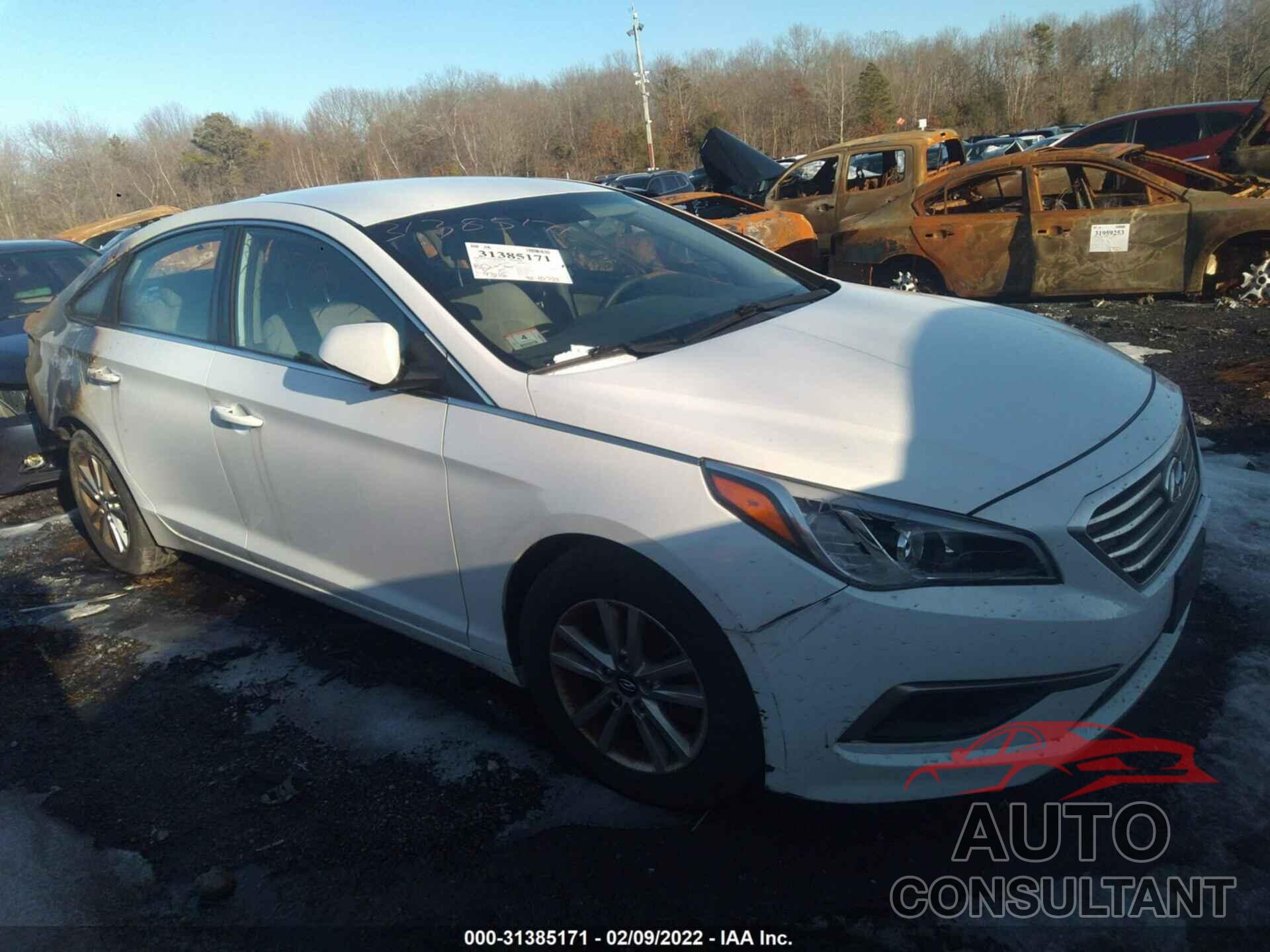 HYUNDAI SONATA 2016 - 5NPE24AF6GH339210