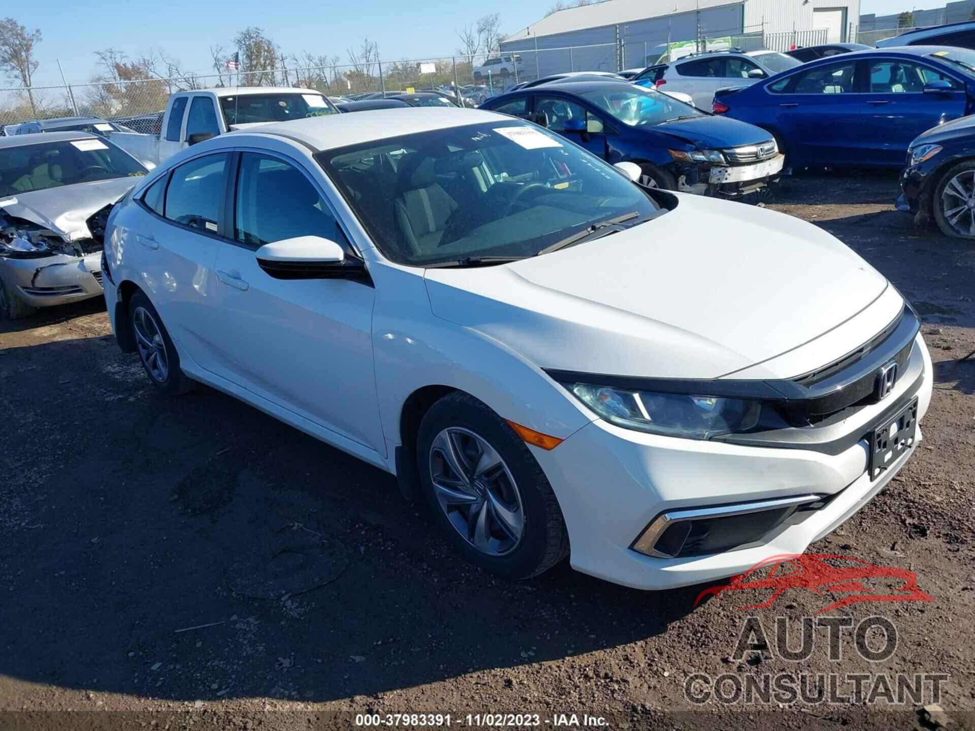 HONDA CIVIC 2019 - 2HGFC2F63KH552195