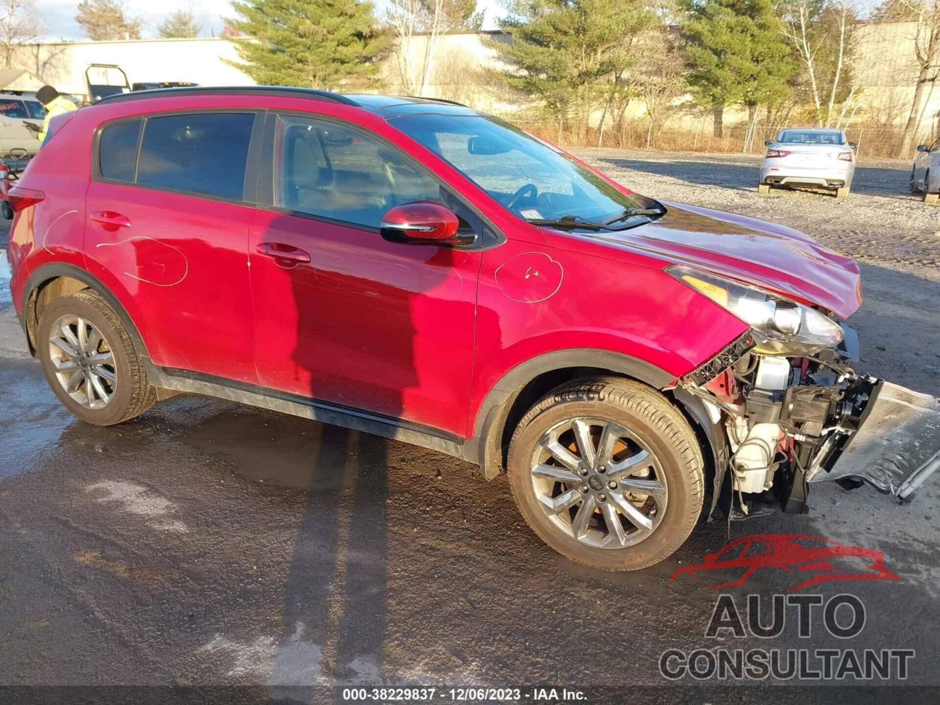 KIA SPORTAGE 2022 - KNDP6CAC7N7992062