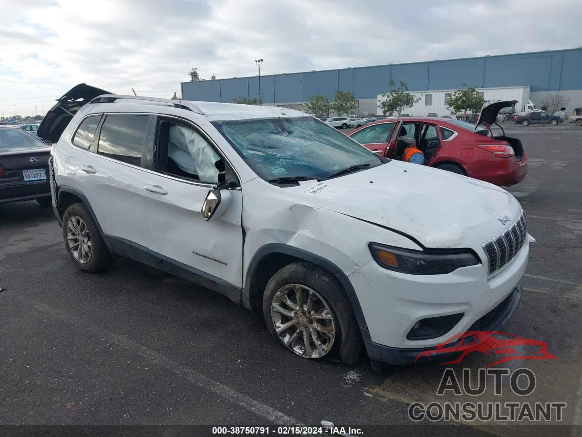 JEEP CHEROKEE 2019 - 1C4PJLCB7KD145865