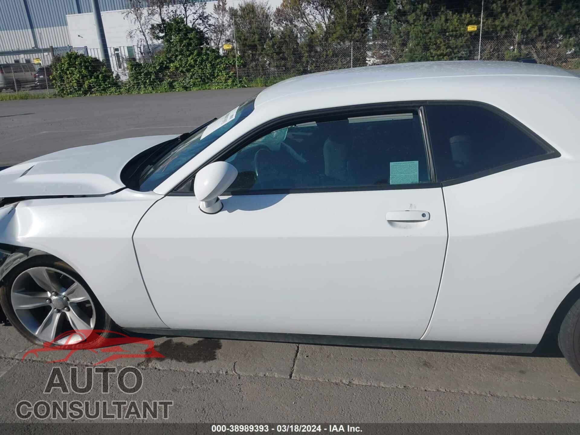 DODGE CHALLENGER 2019 - 2C3CDZAG4KH723399