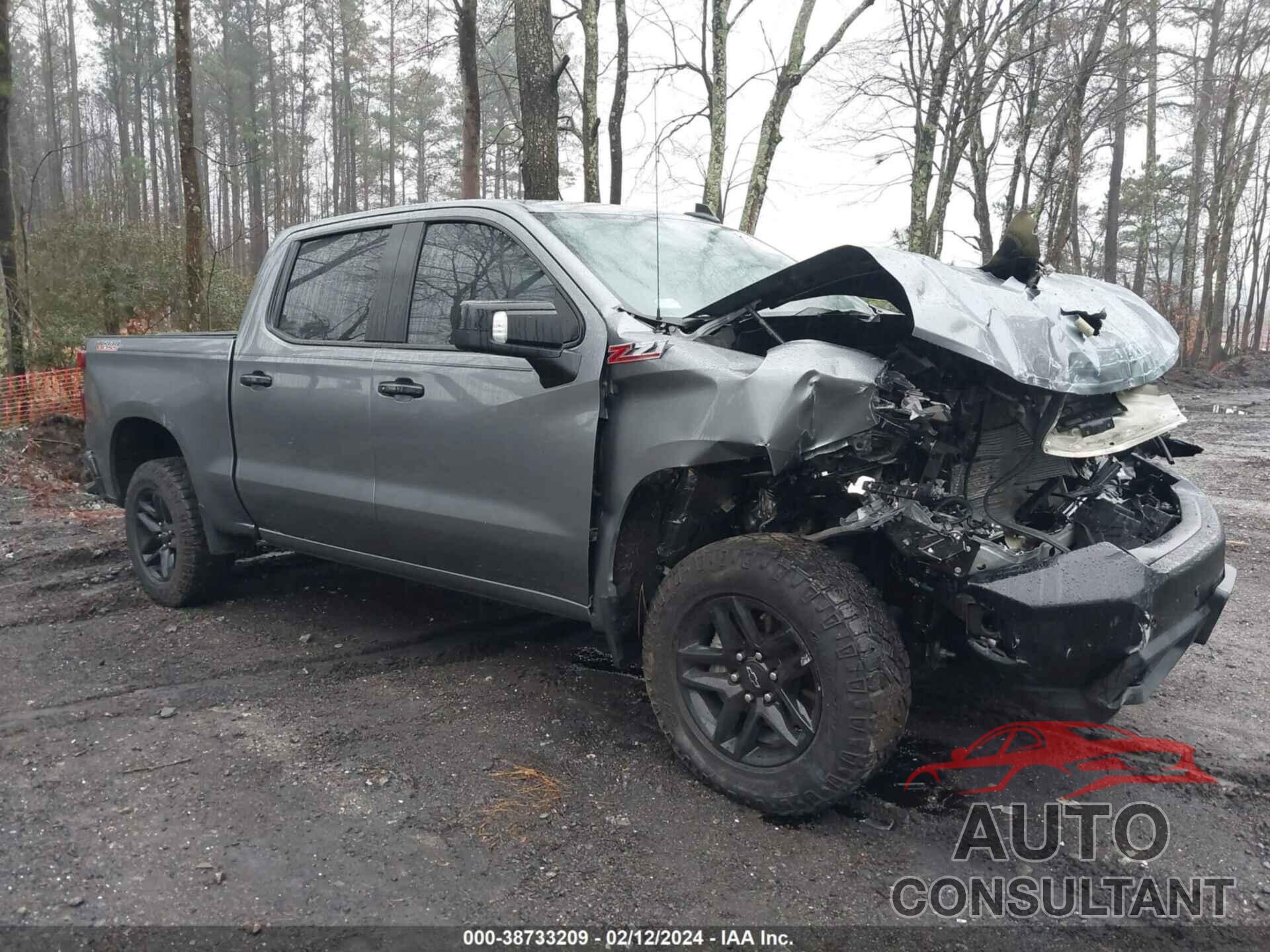 CHEVROLET SILVERADO 2020 - 3GCPYFED5LG443993