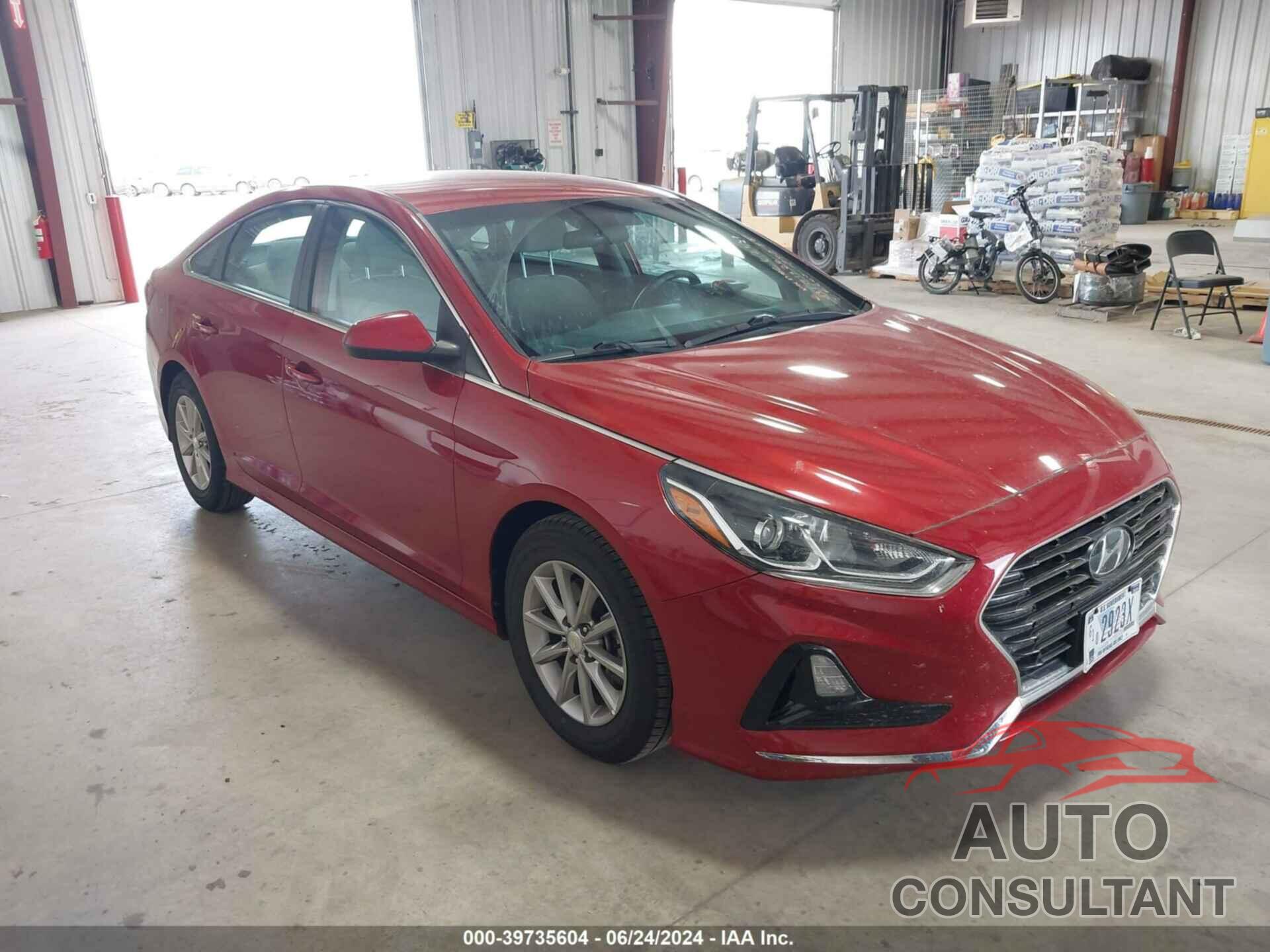 HYUNDAI SONATA 2019 - 5NPE24AA1KH802206