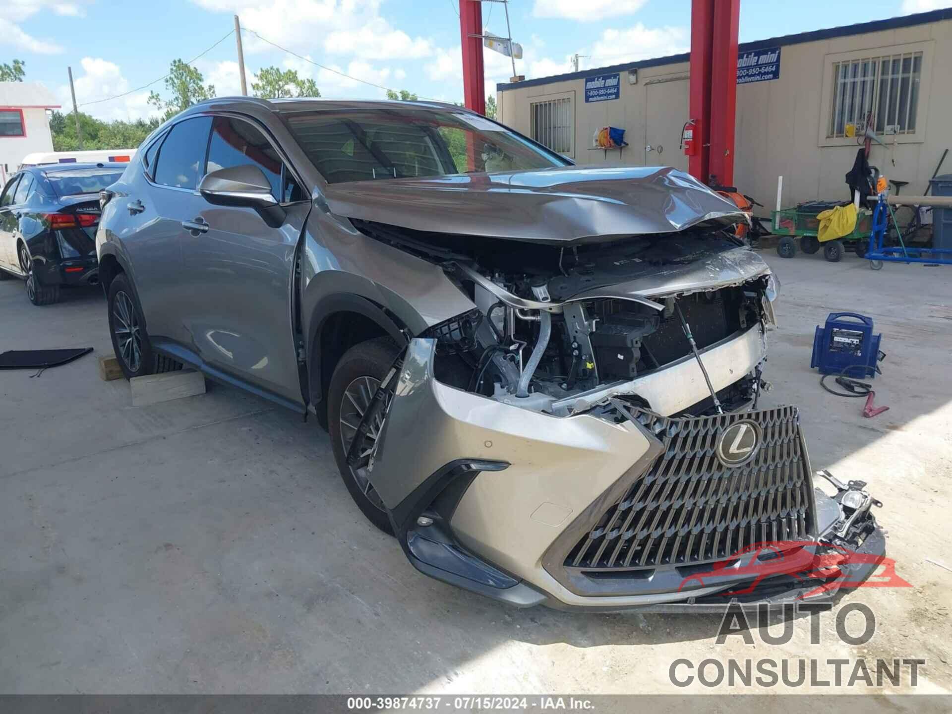 LEXUS NX 250 2024 - 2T2GDCAZ9RC011448