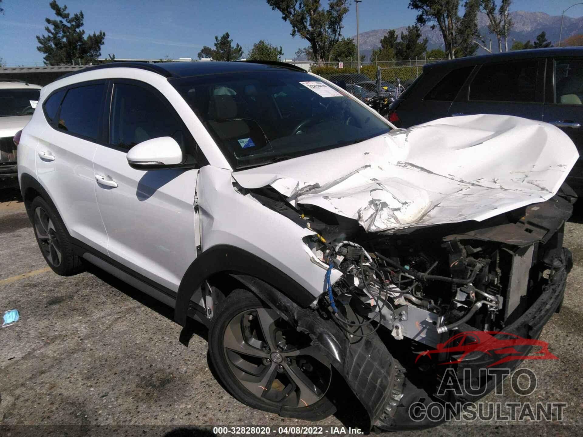 HYUNDAI TUCSON 2017 - KM8J33A26HU565740